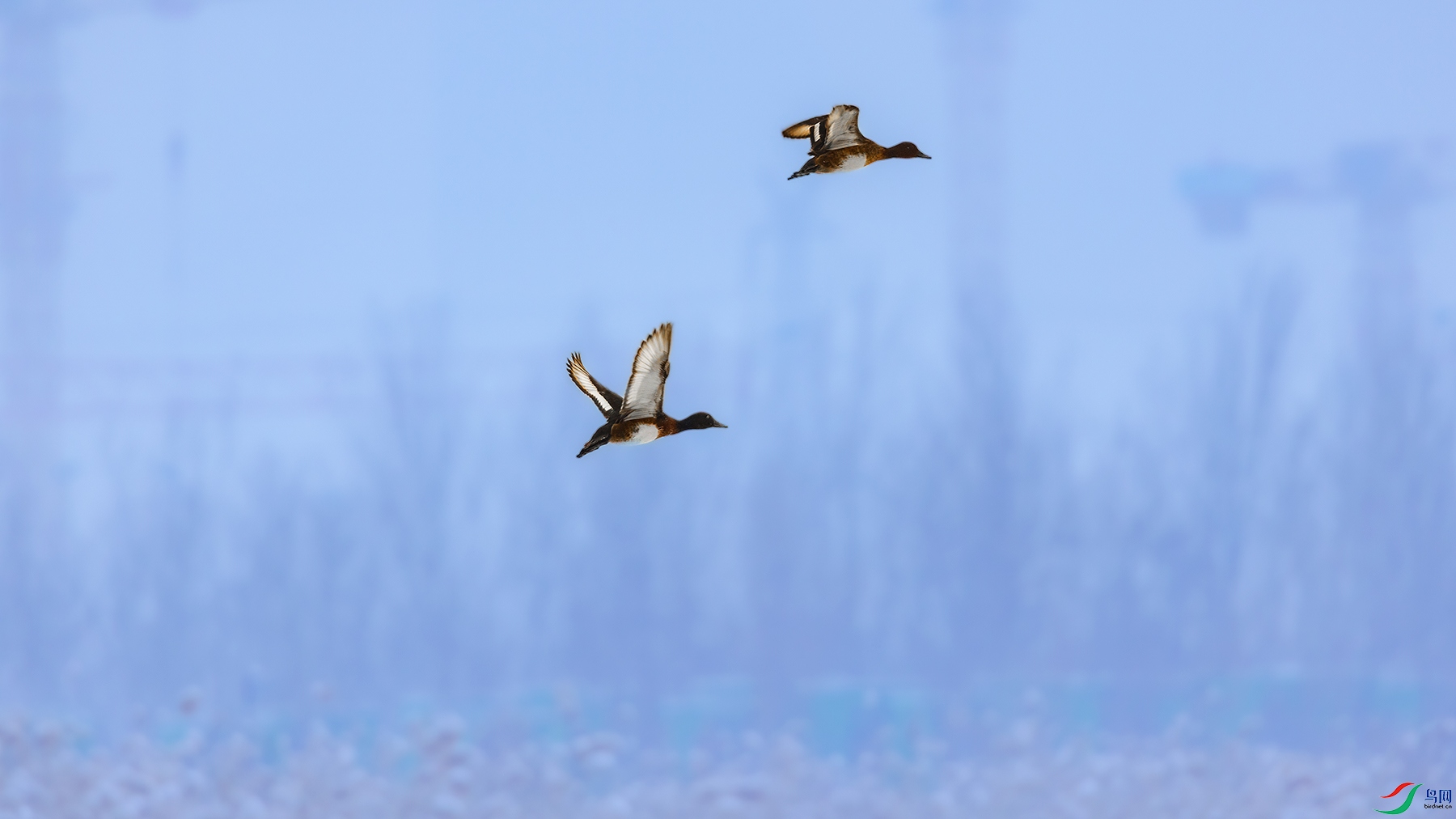 1P8A8430.jpg