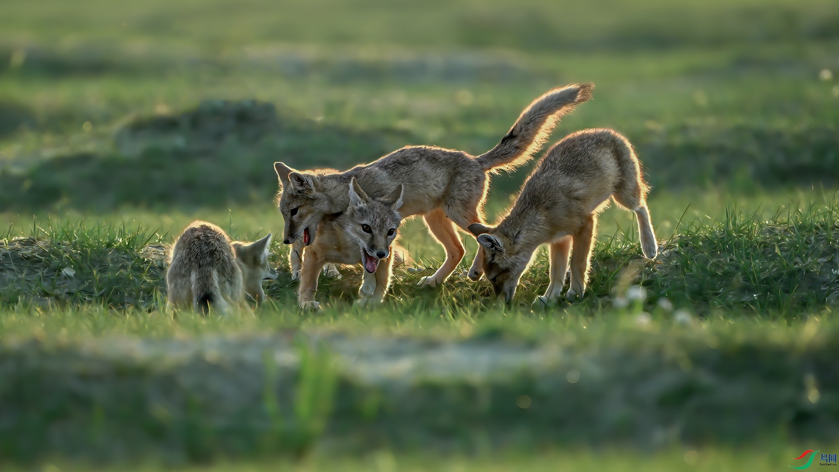 DSC_1546_����.jpg����һ����_����.jpg4_����.jpg5.jpg