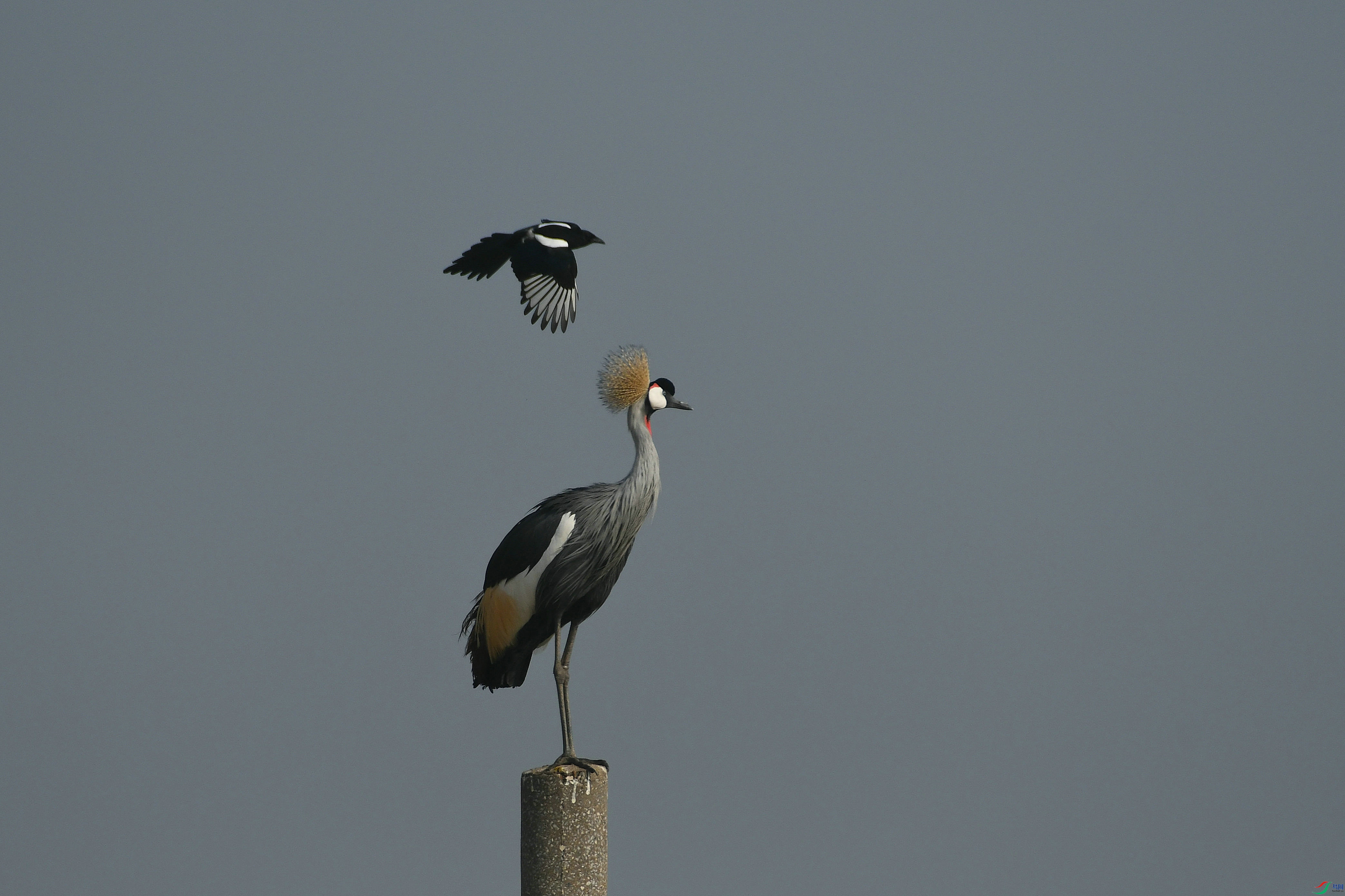 DSC_5307.JPG