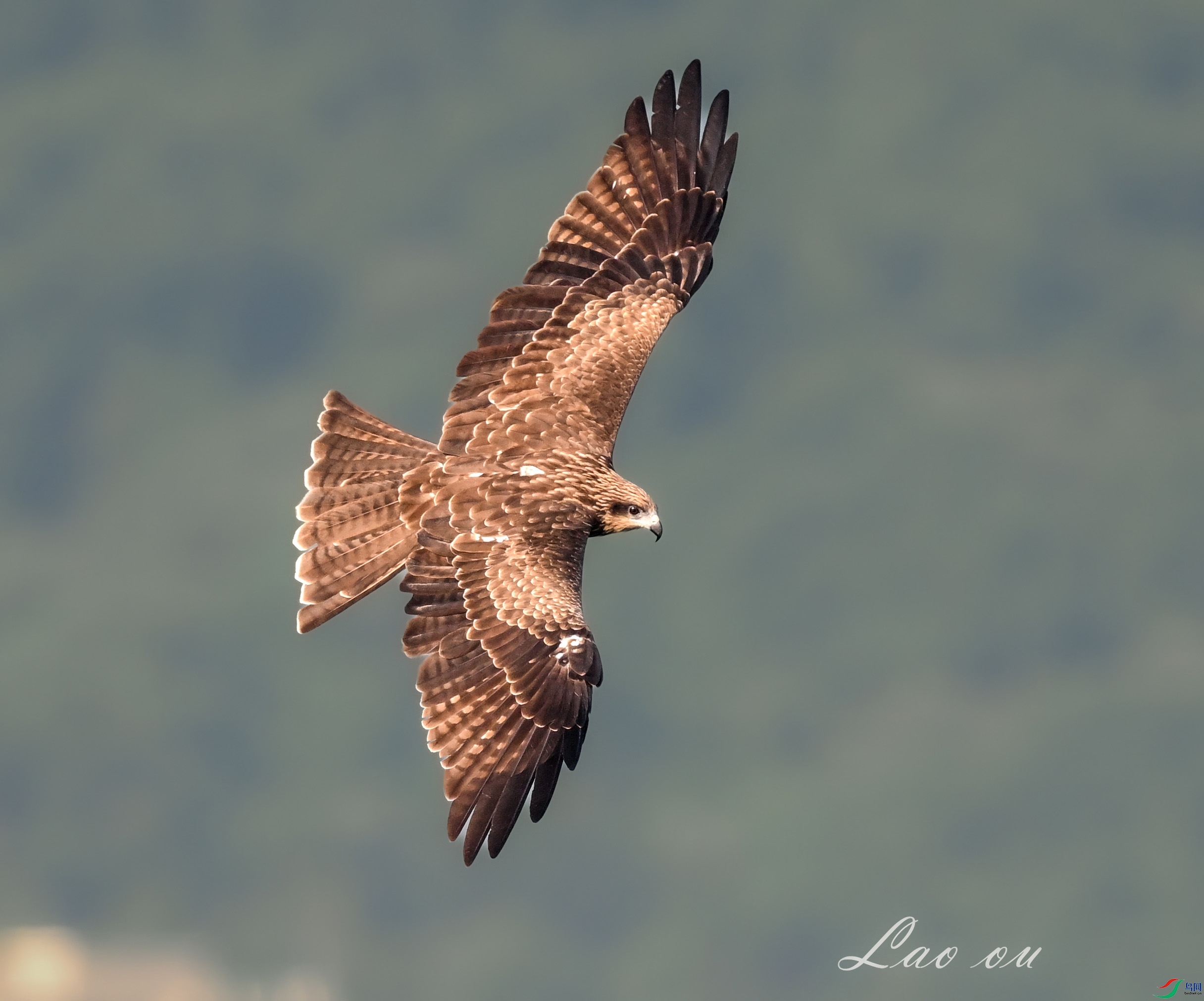 DSC_5209_���� ����1.jpg