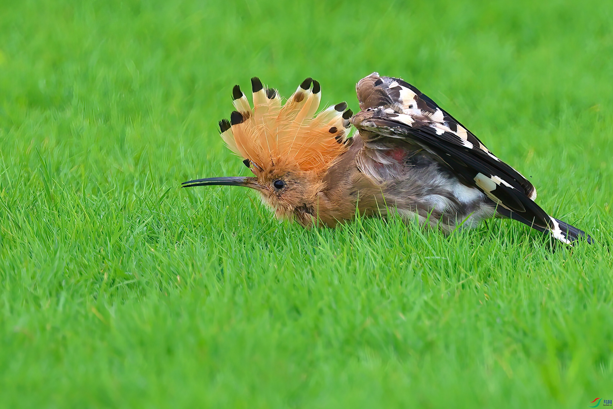 �Ե�