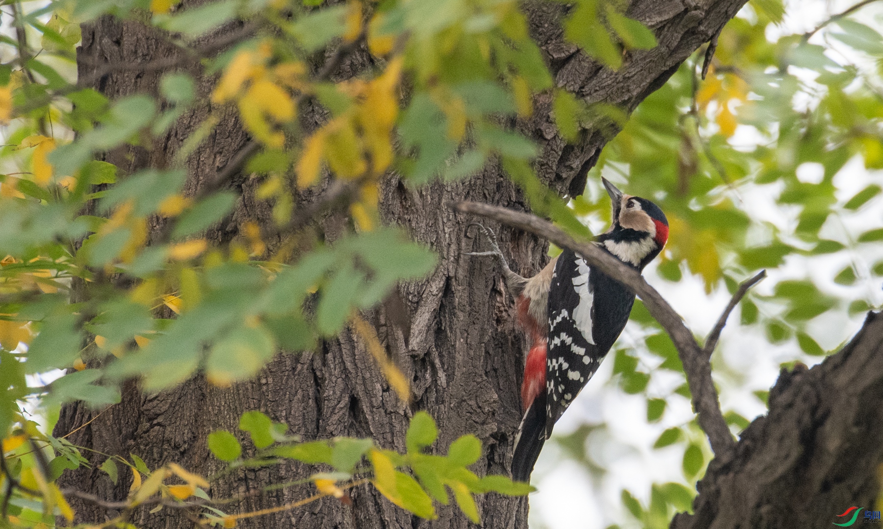 DSC_5641.jpg