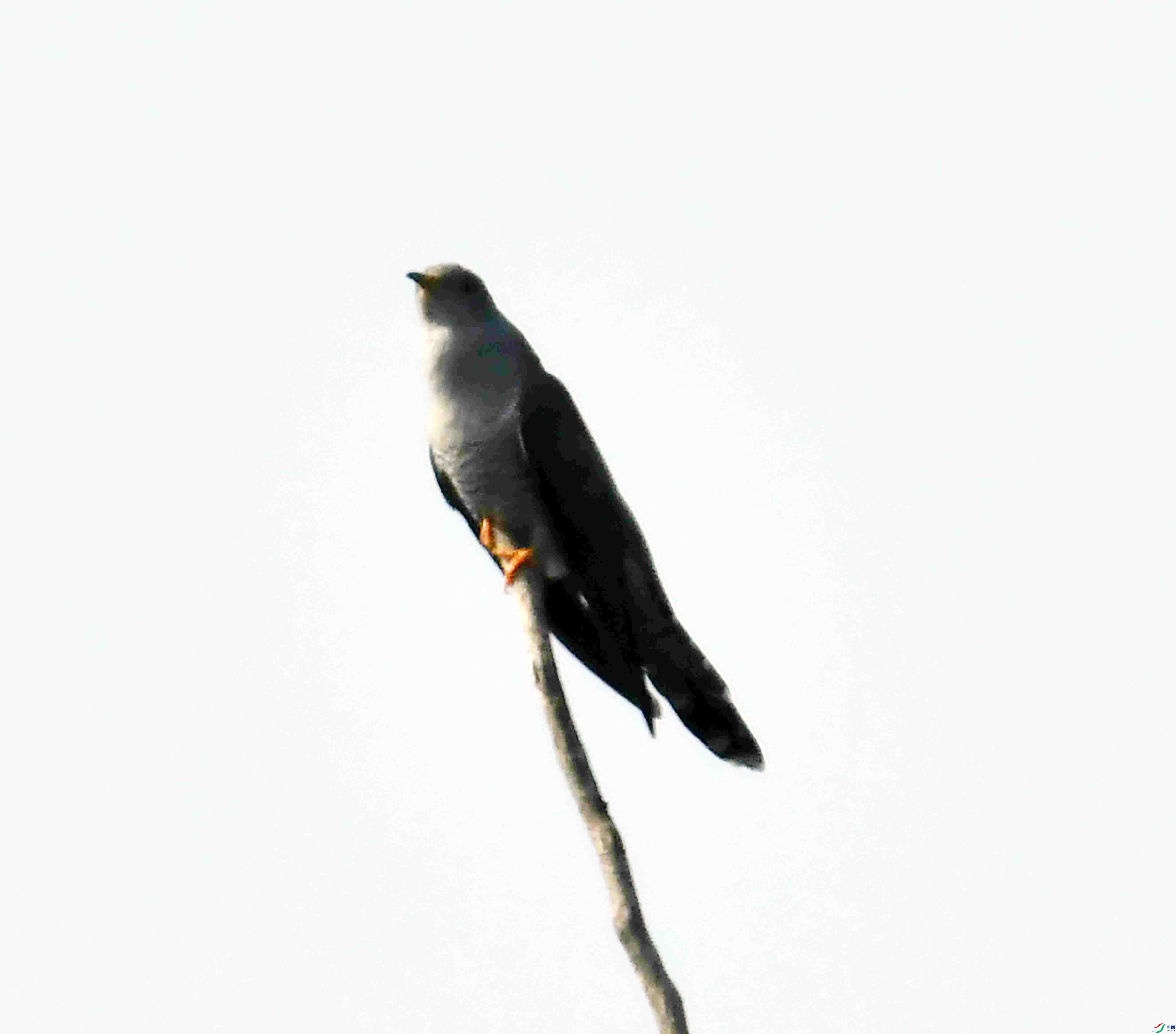 DSC_0309.JPG