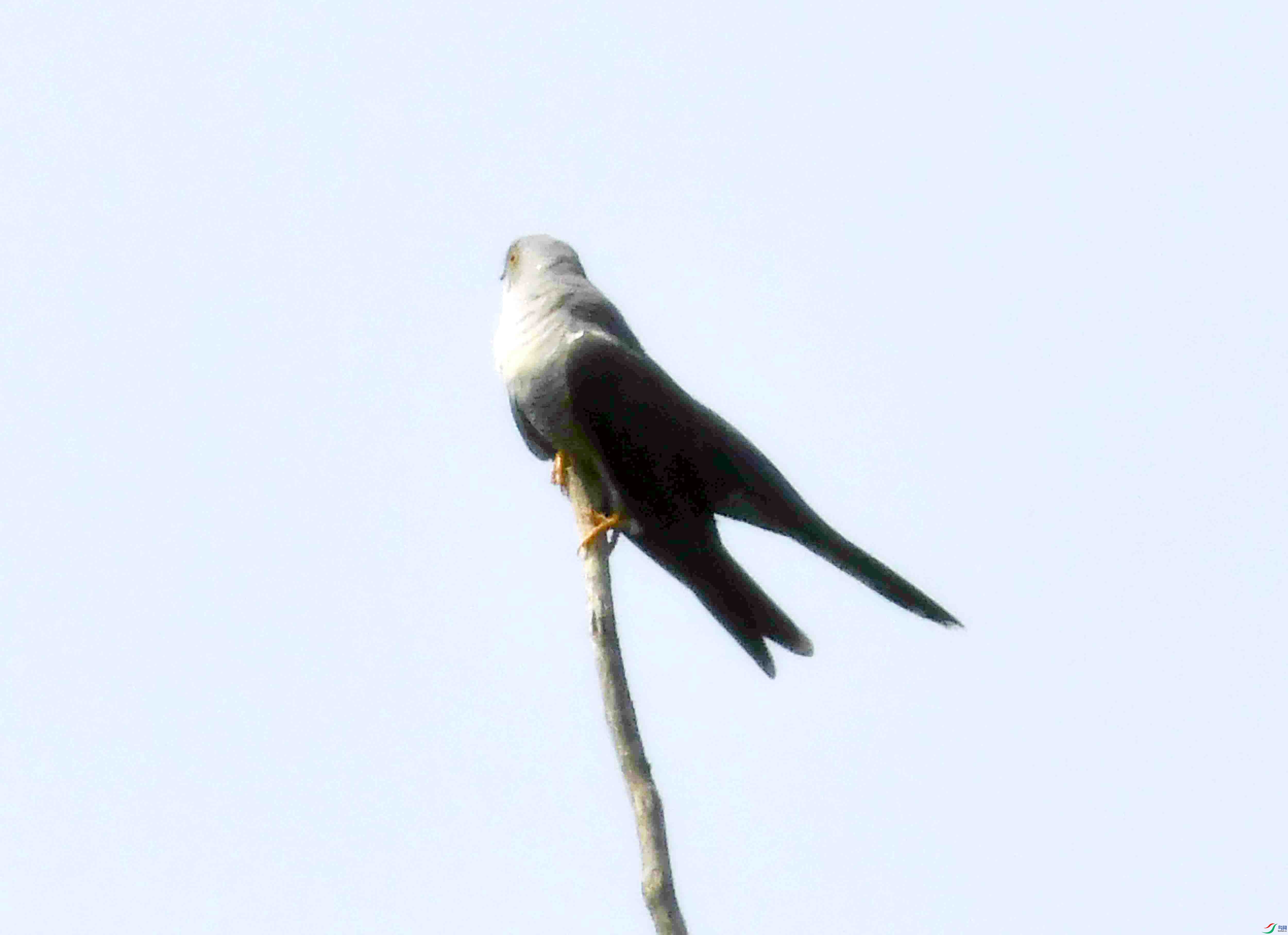DSC_0281.JPG