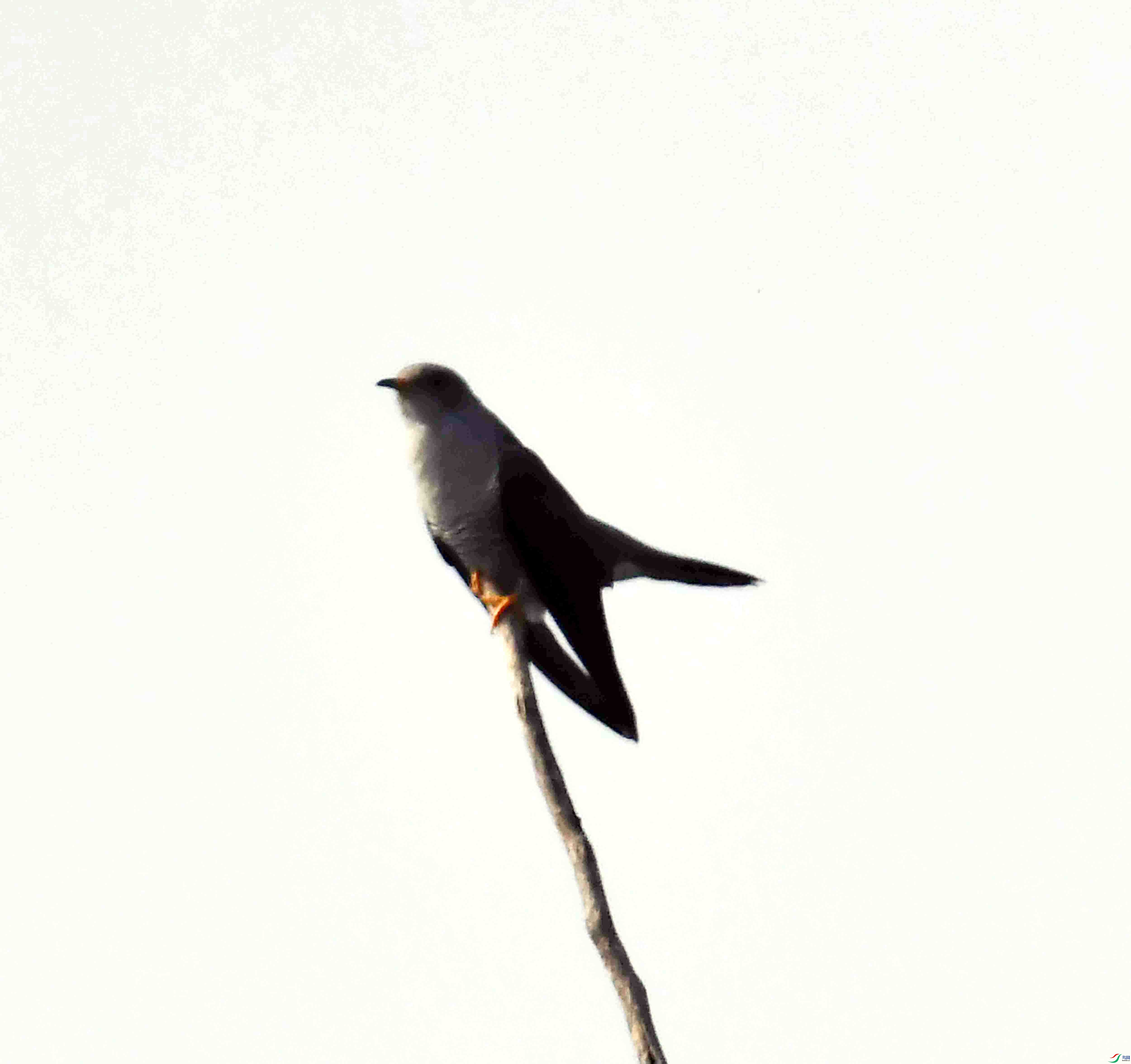 DSC_0311.JPG
