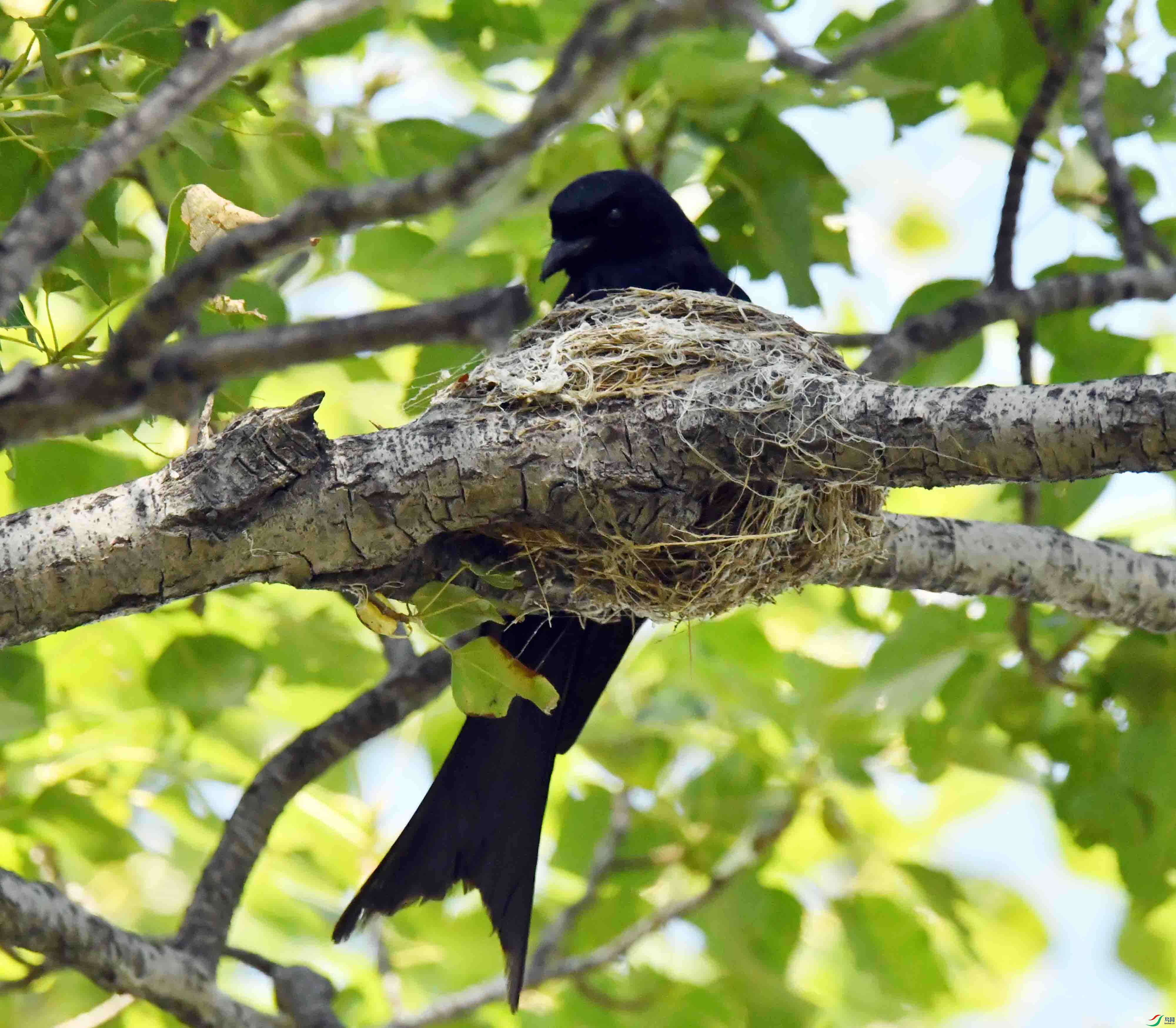 DSC_5390.JPG