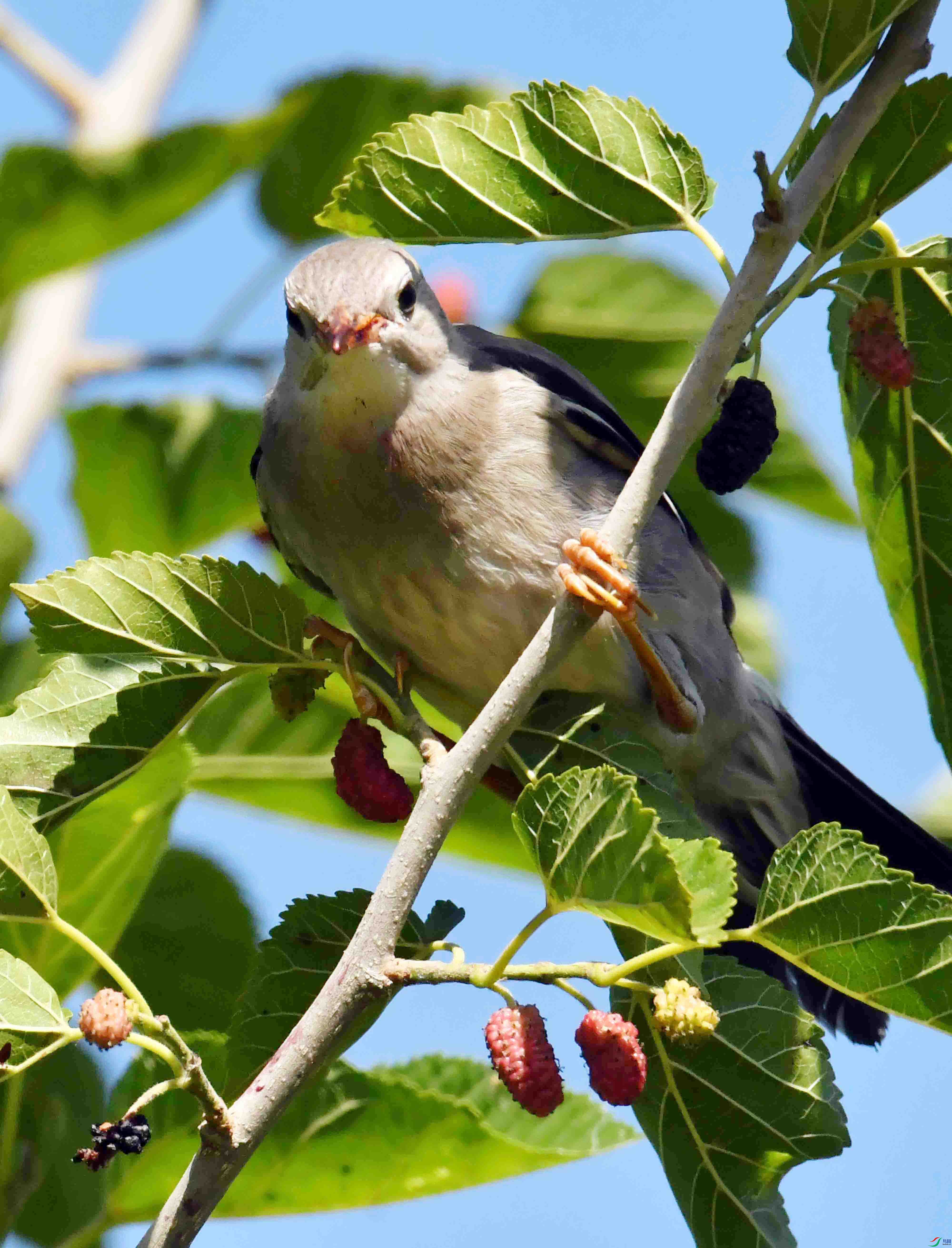 DSC_3484.JPG