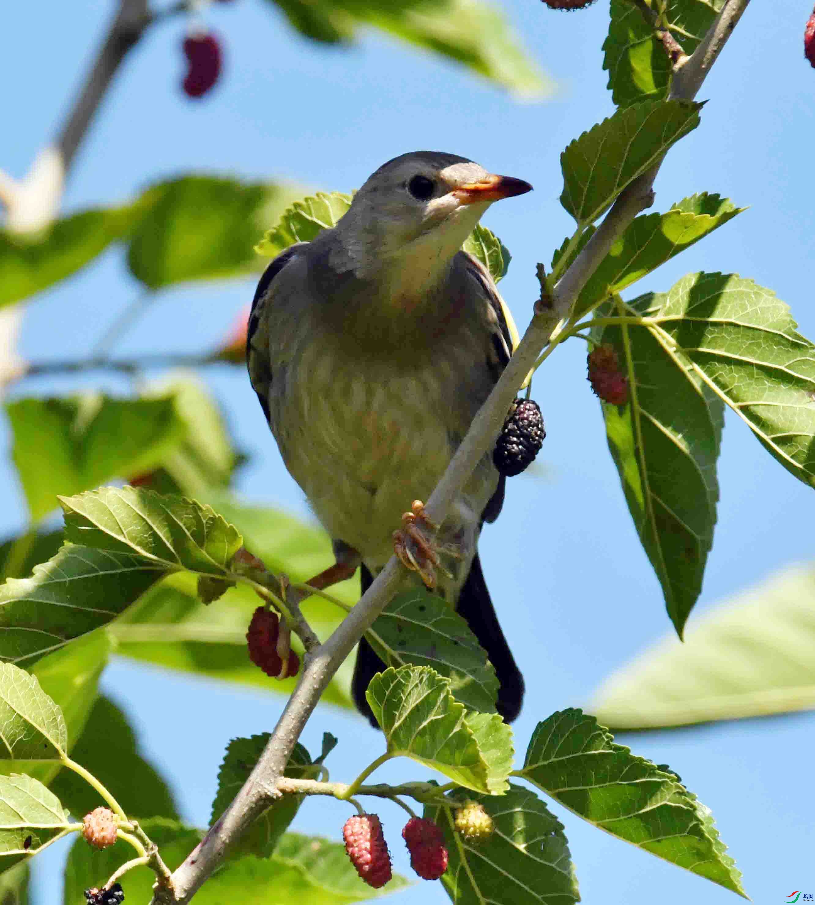 DSC_3497.JPG