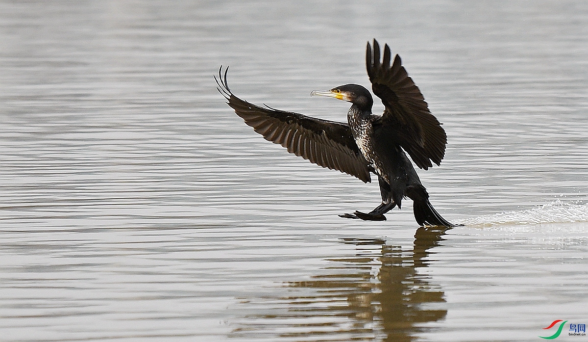 DSC_5806.JPG