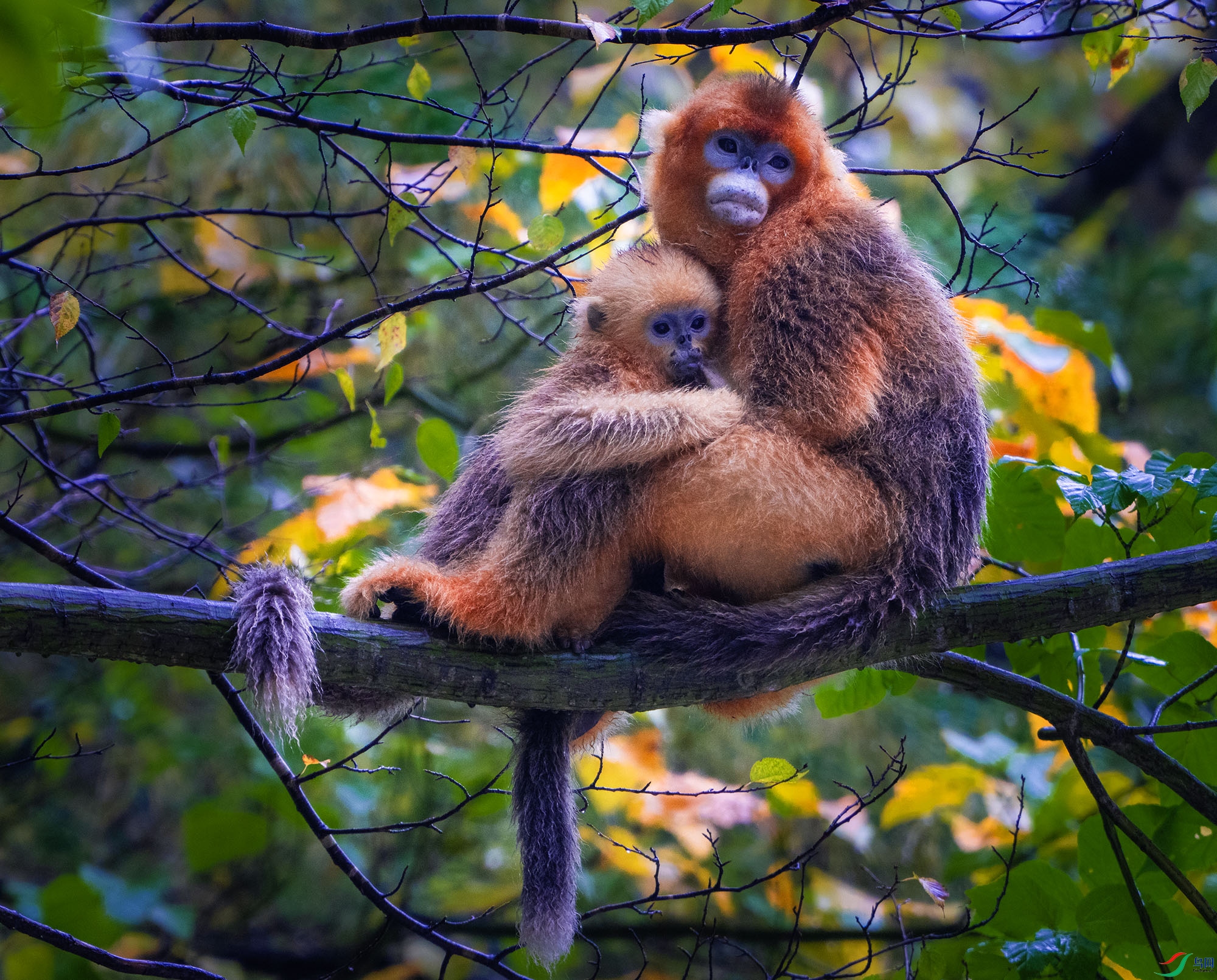 _DSC3660.jpg