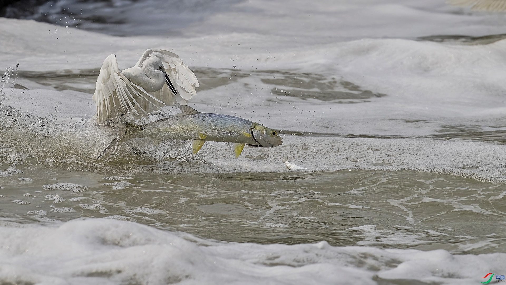 DSC_1589 ����--01.jpeg