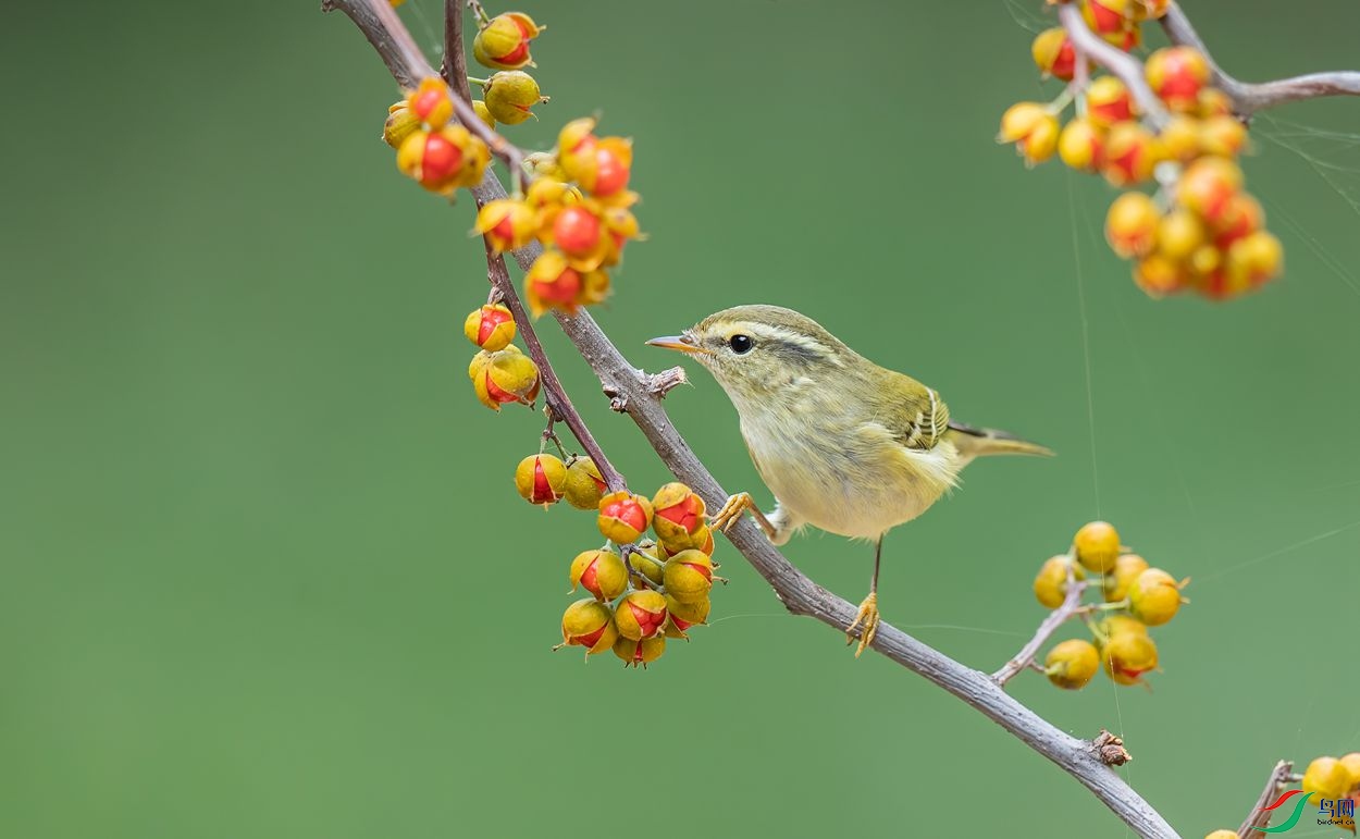 AC3I8920 ����_����.jpg