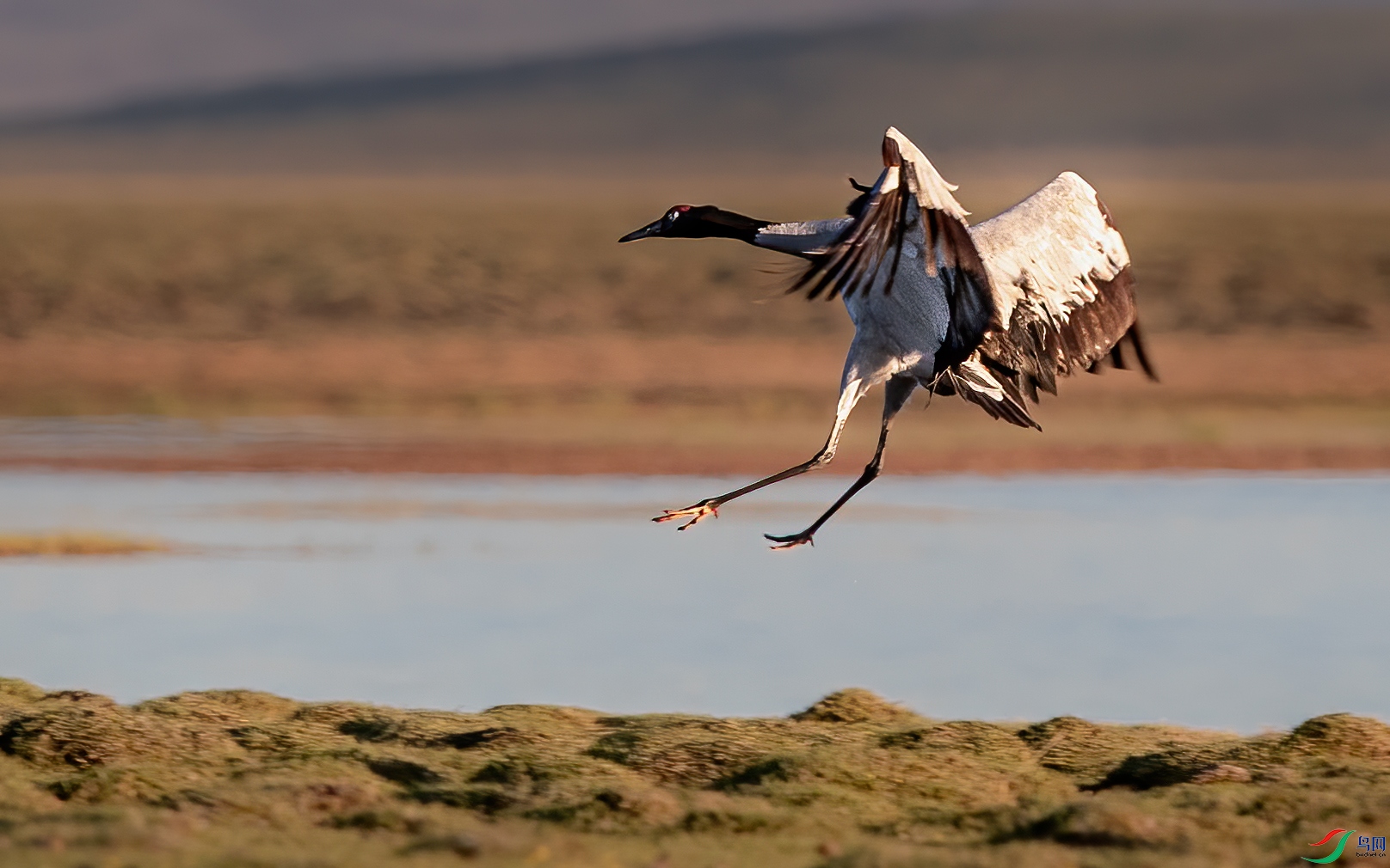 AY8I8137 ����.jpg