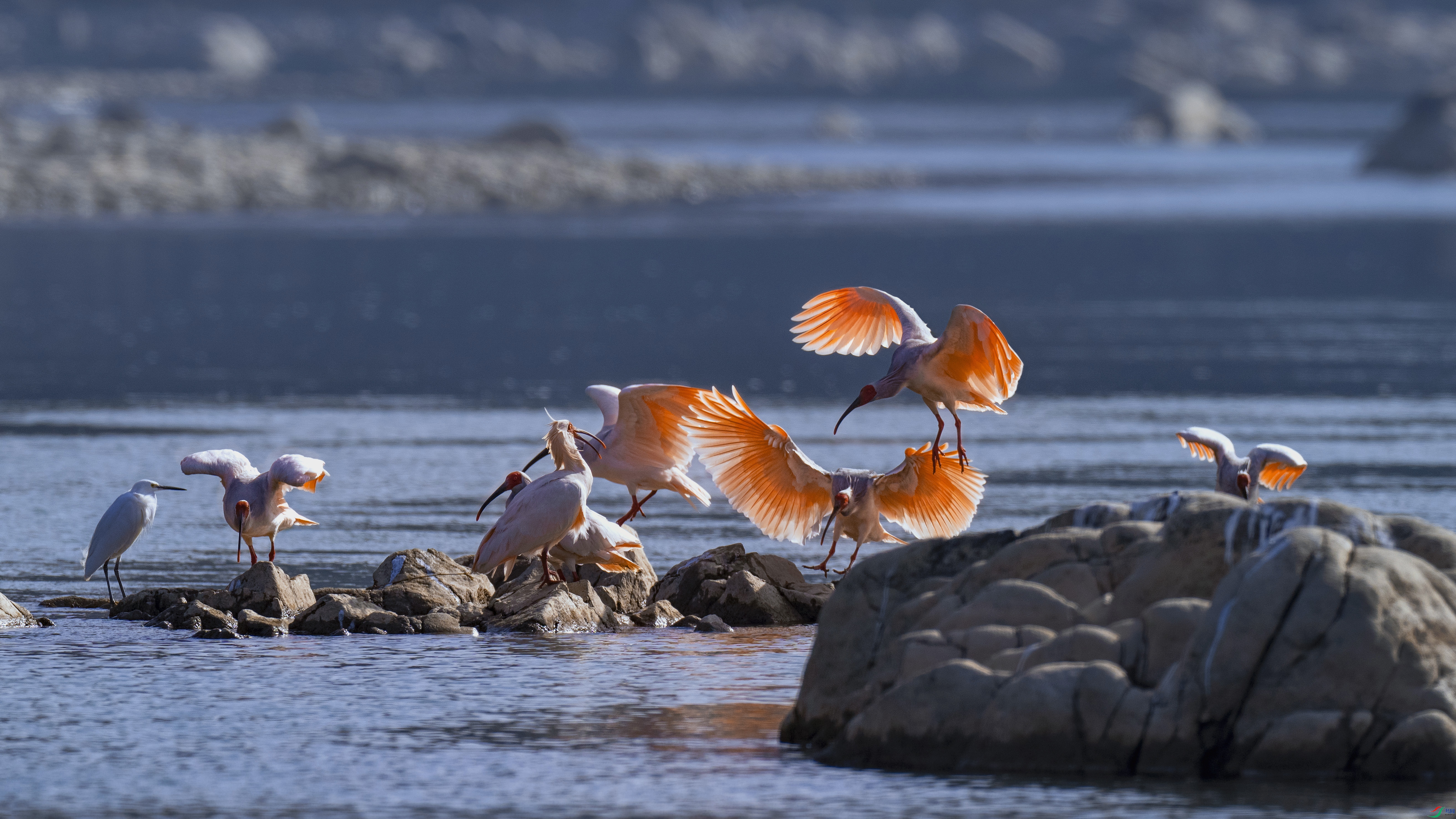 DSC00760 ����5.jpg