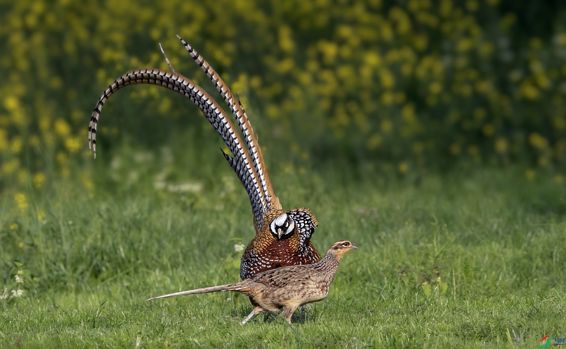 AW4I0117 ����.jpg