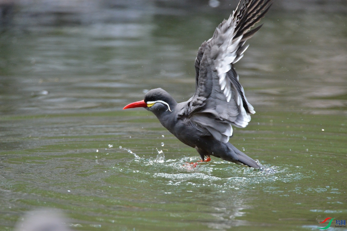 ��Ƭ 1778_����.jpg