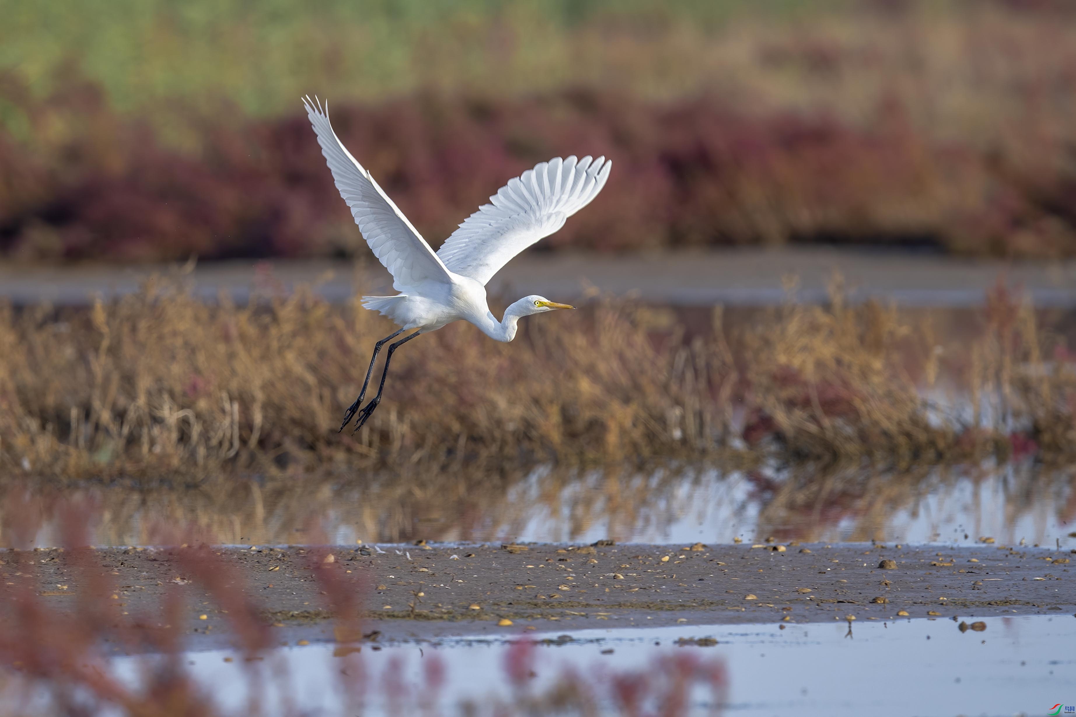 DSC_0900 ����.jpg