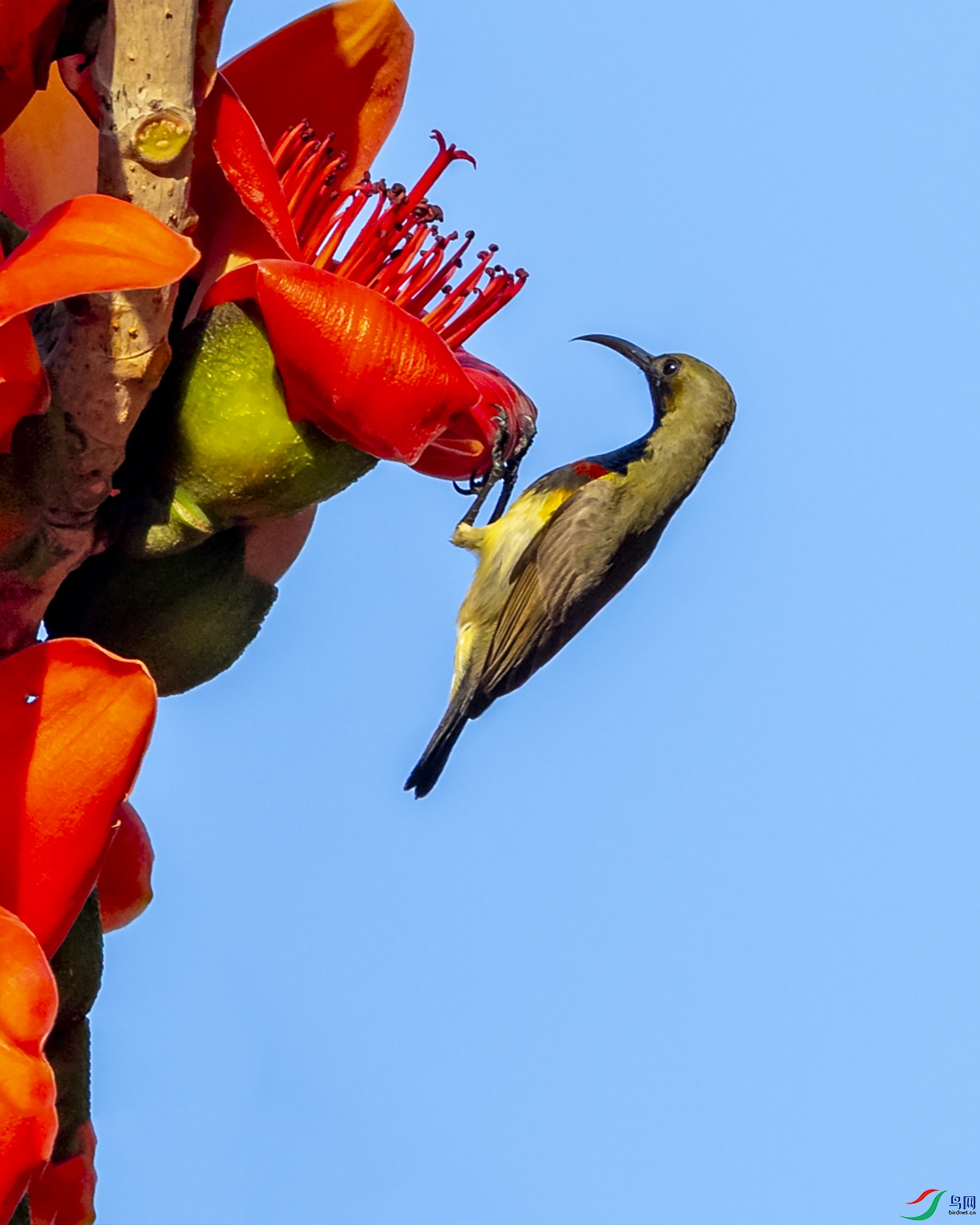 2240 ����.jpg