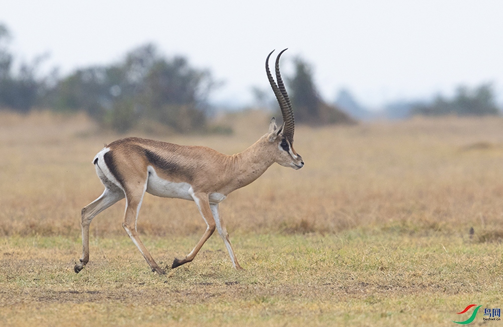 ���� (3).jpg