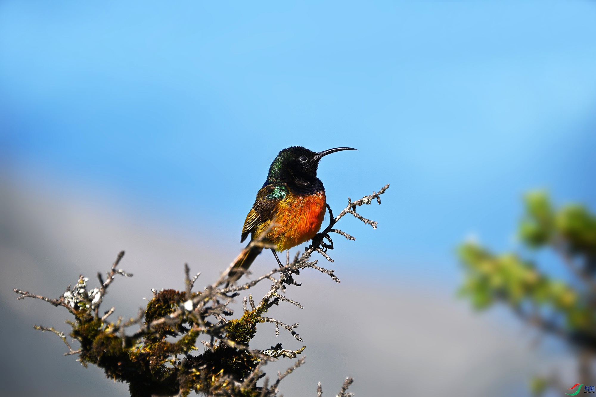 DSC_1536 - ����_.jpg