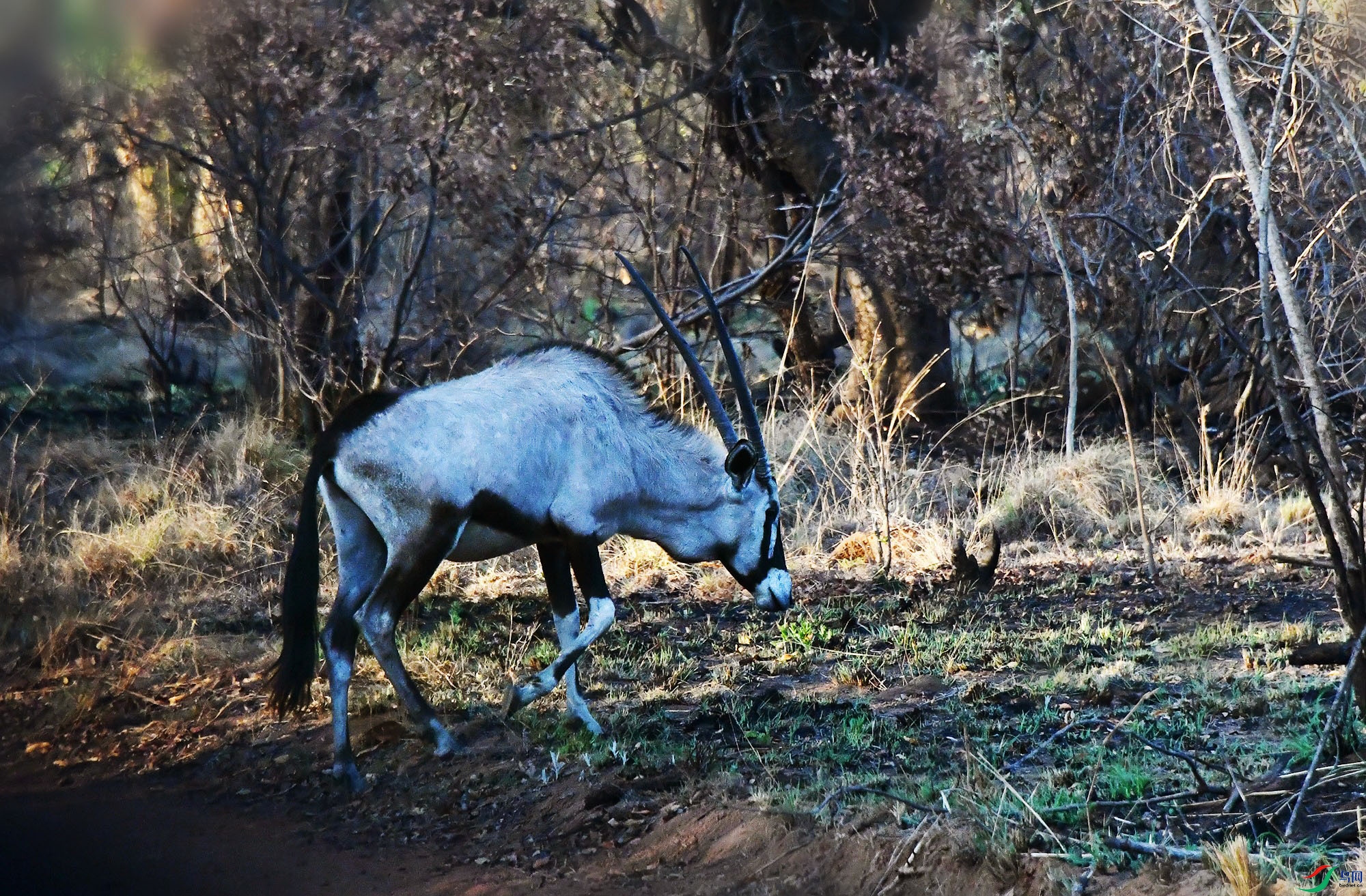 DSC_3616_.jpg