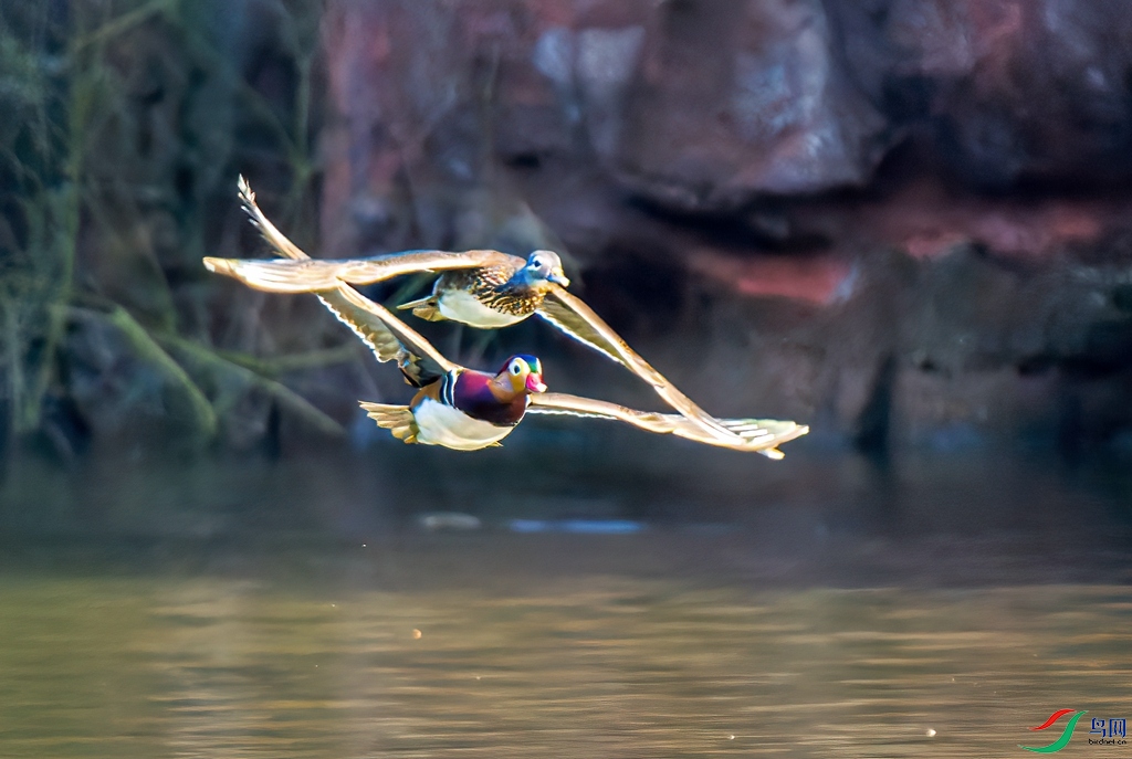 123321_DSC01319-ARW_DxO_DeepPRIME ����.jpg