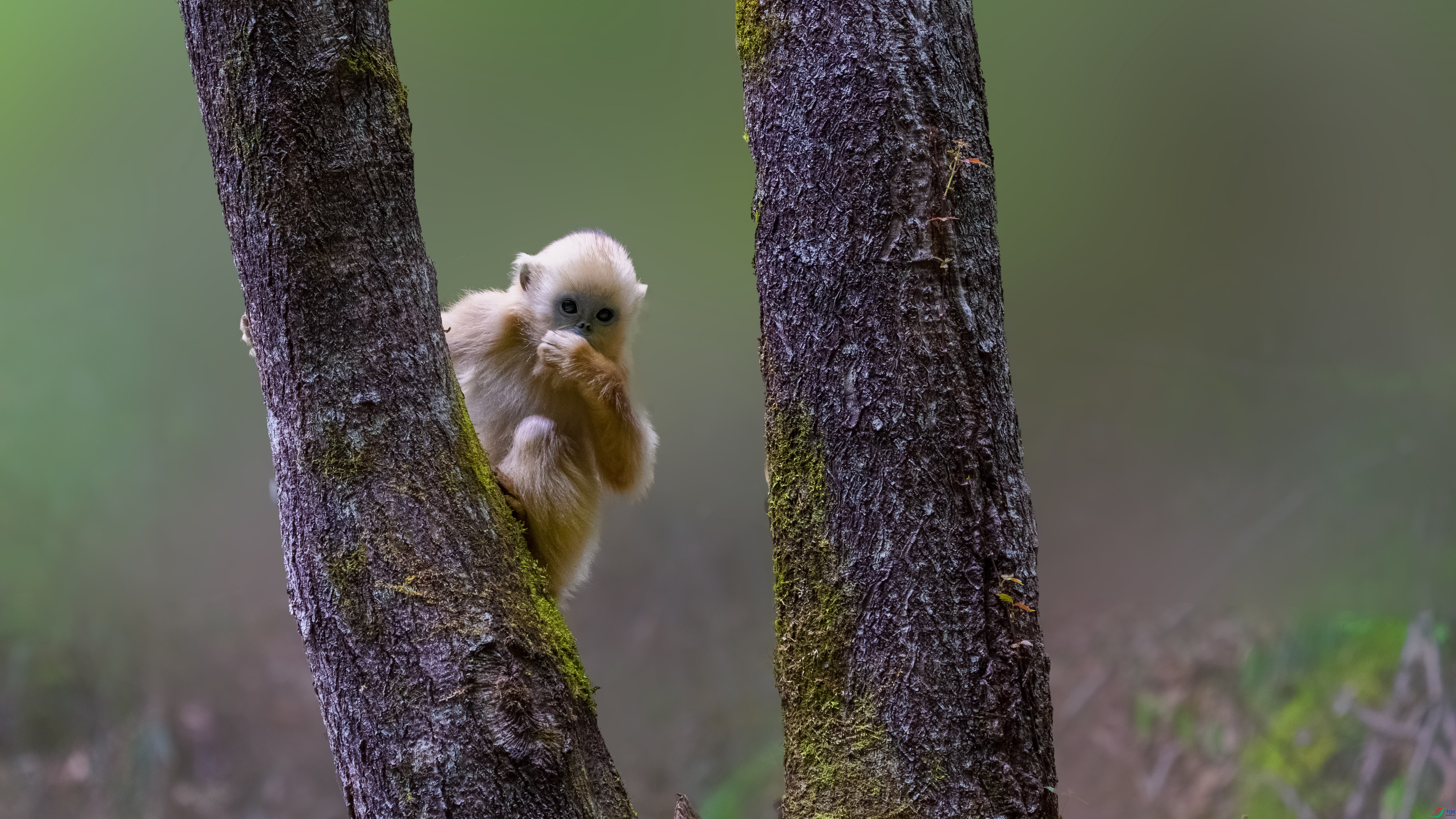 _DSC2721 ����.jpg