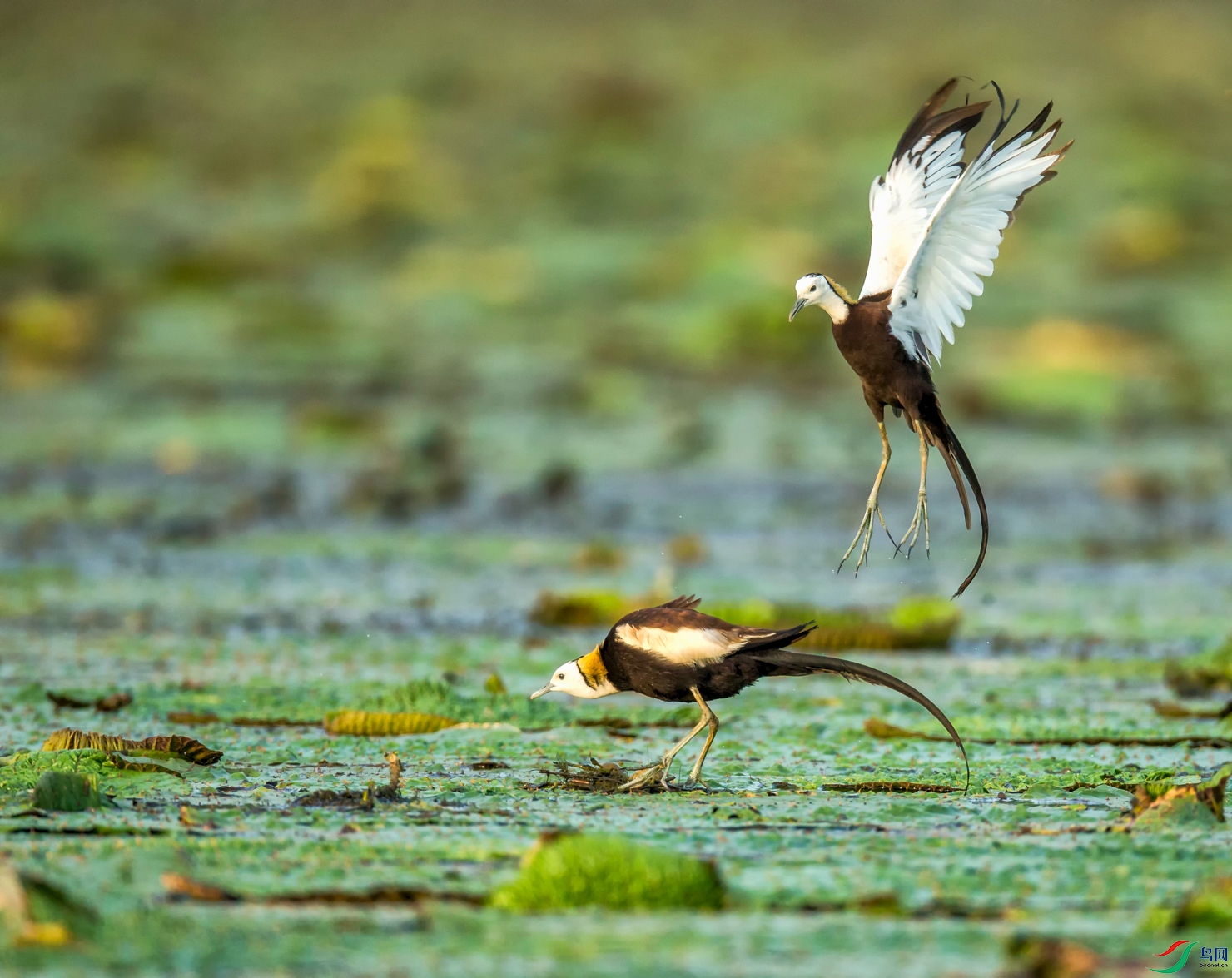 _E8J0148.jpg