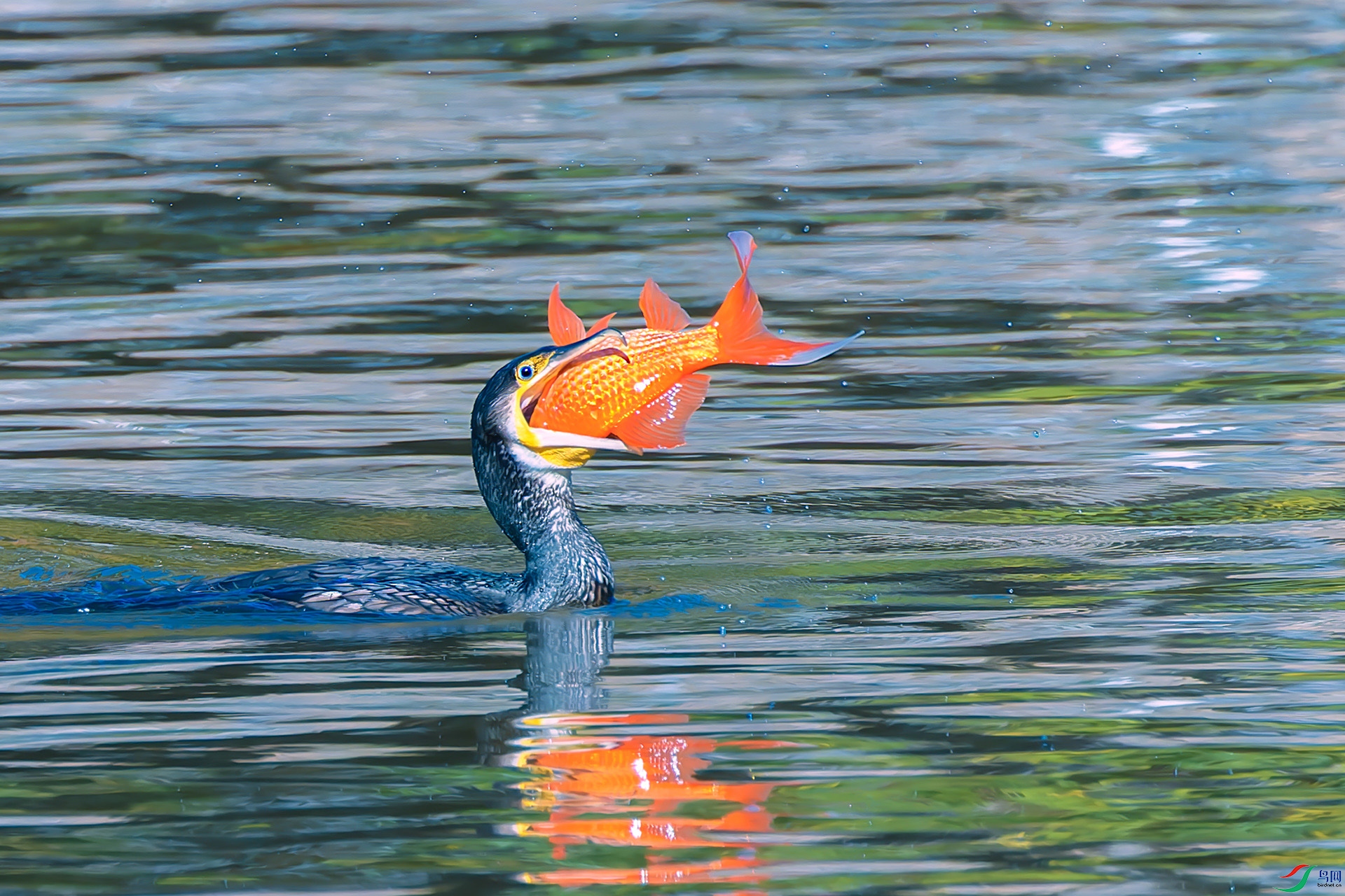 207 ����.jpg