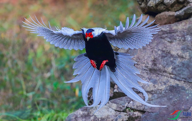 ӭ��չ�� [����].JPG