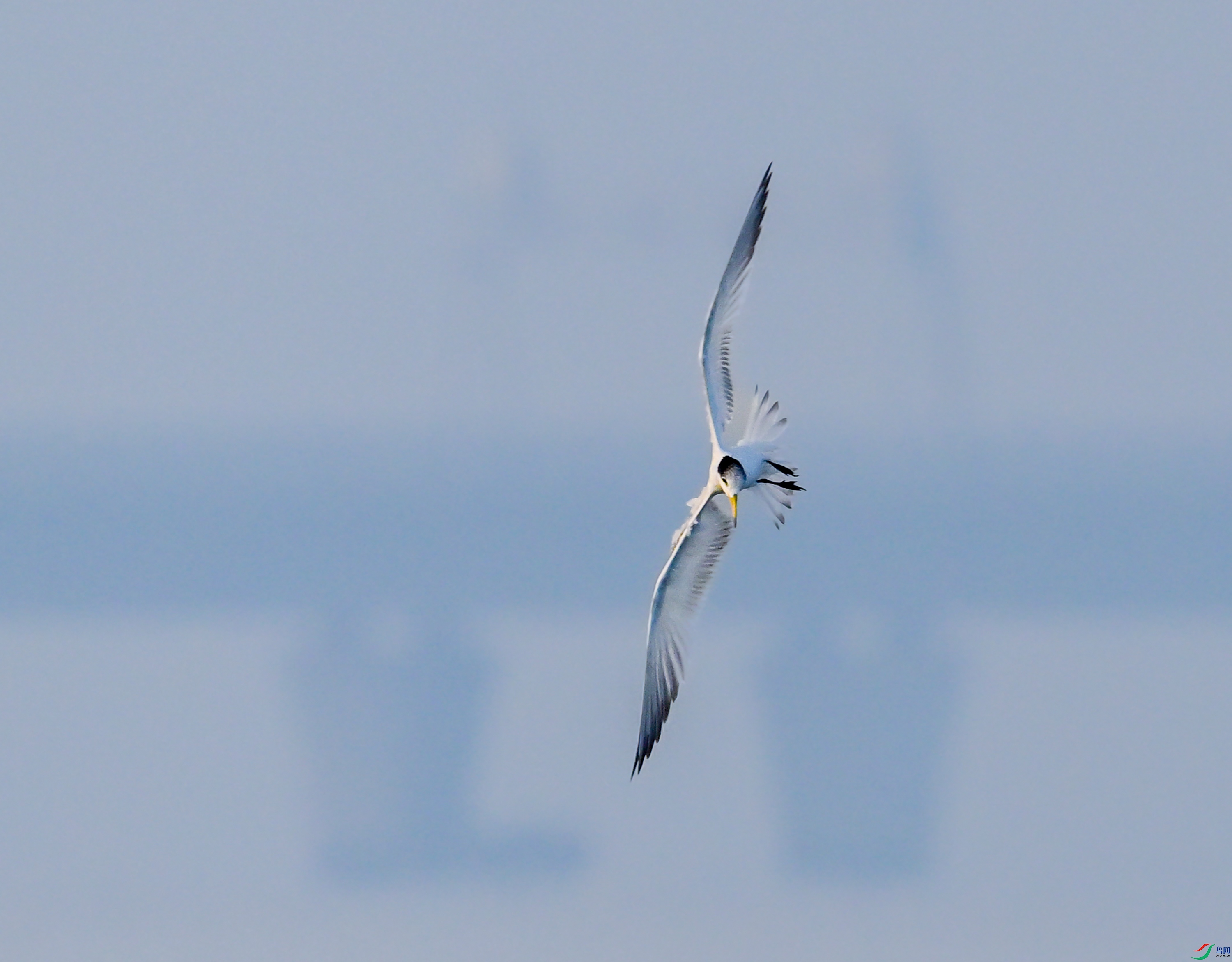 DSC_2398�޸�.JPG
