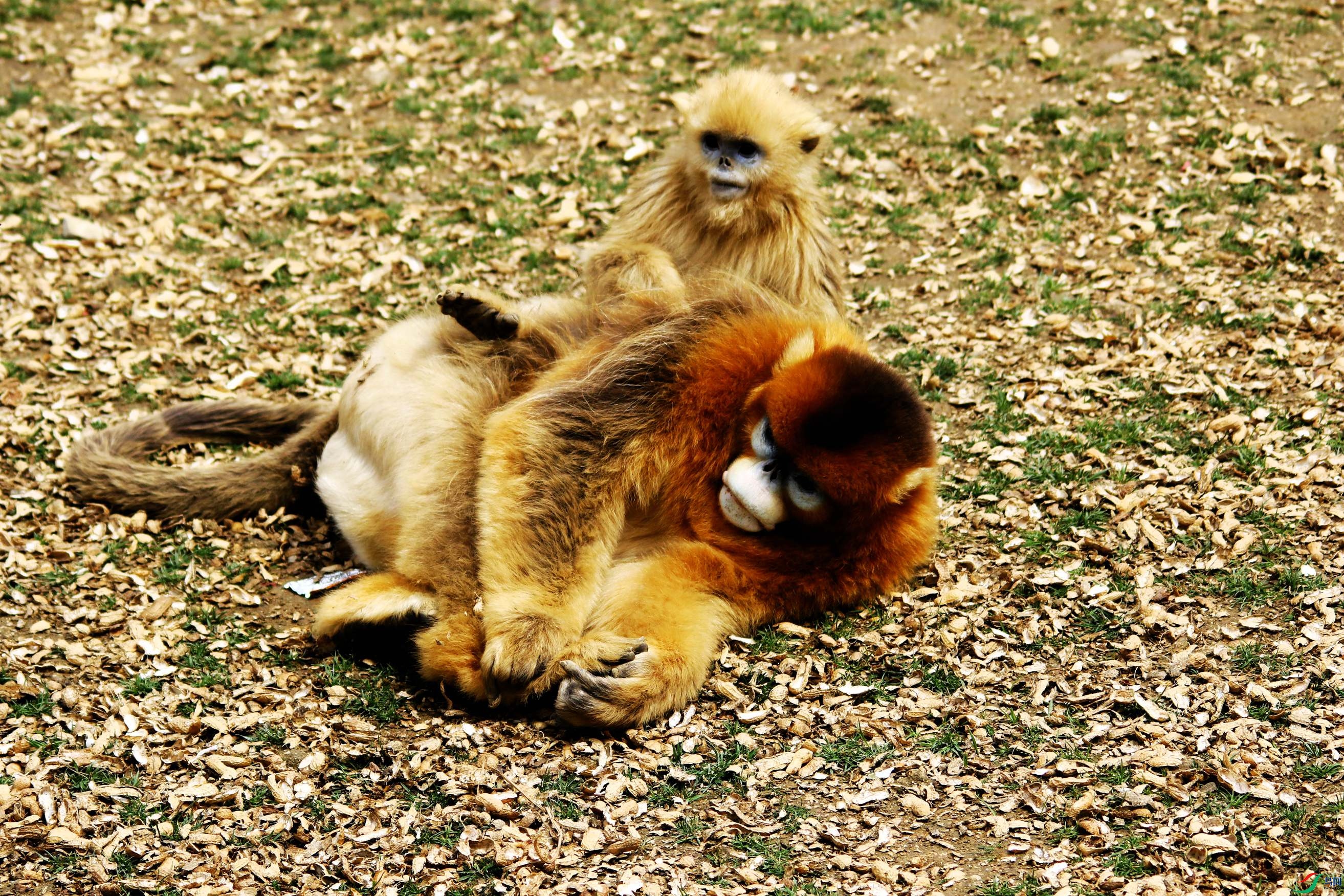 ����˿�� (4).JPG