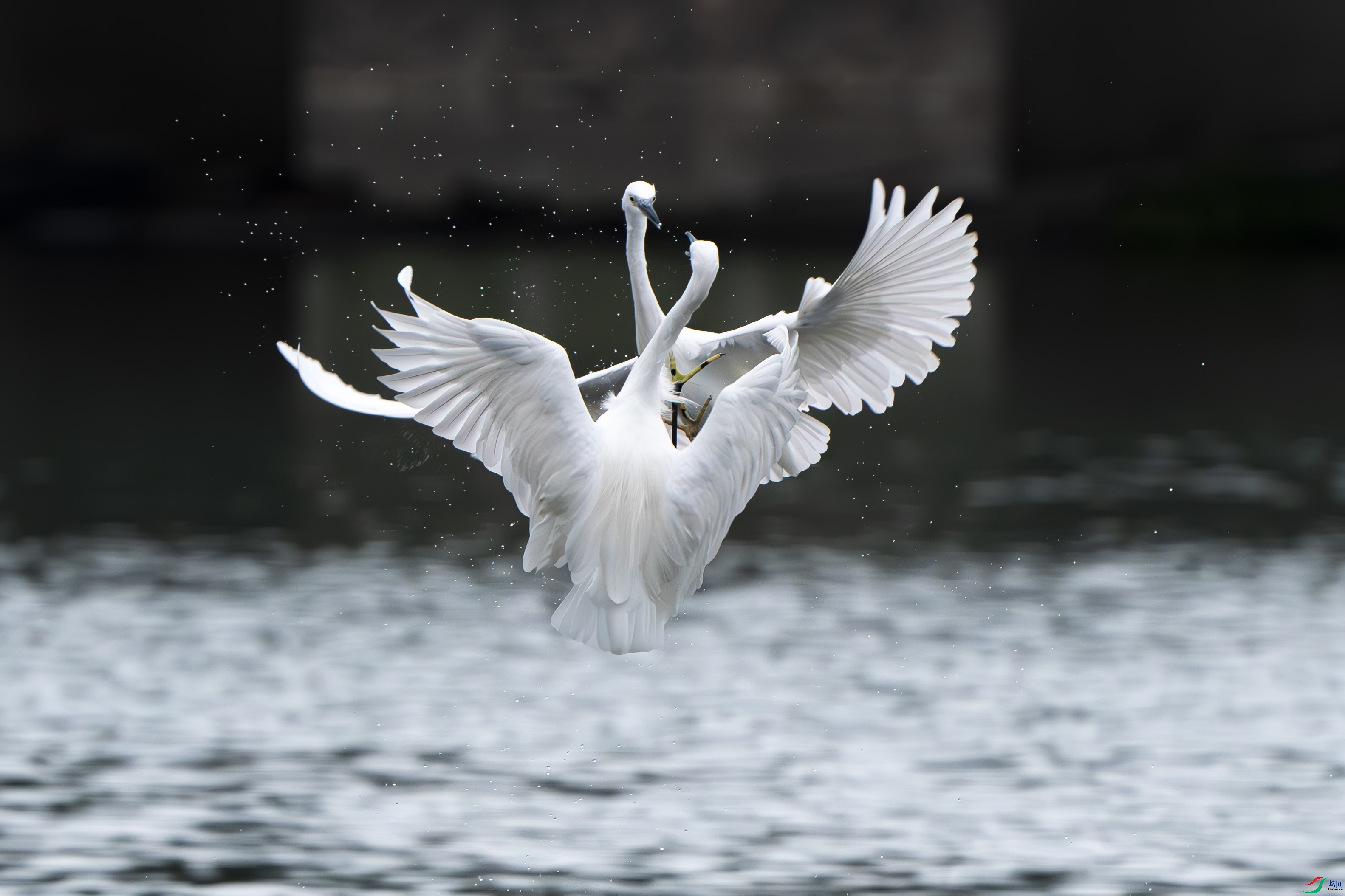 DSC06840-����ǿ-NR ����.jpg