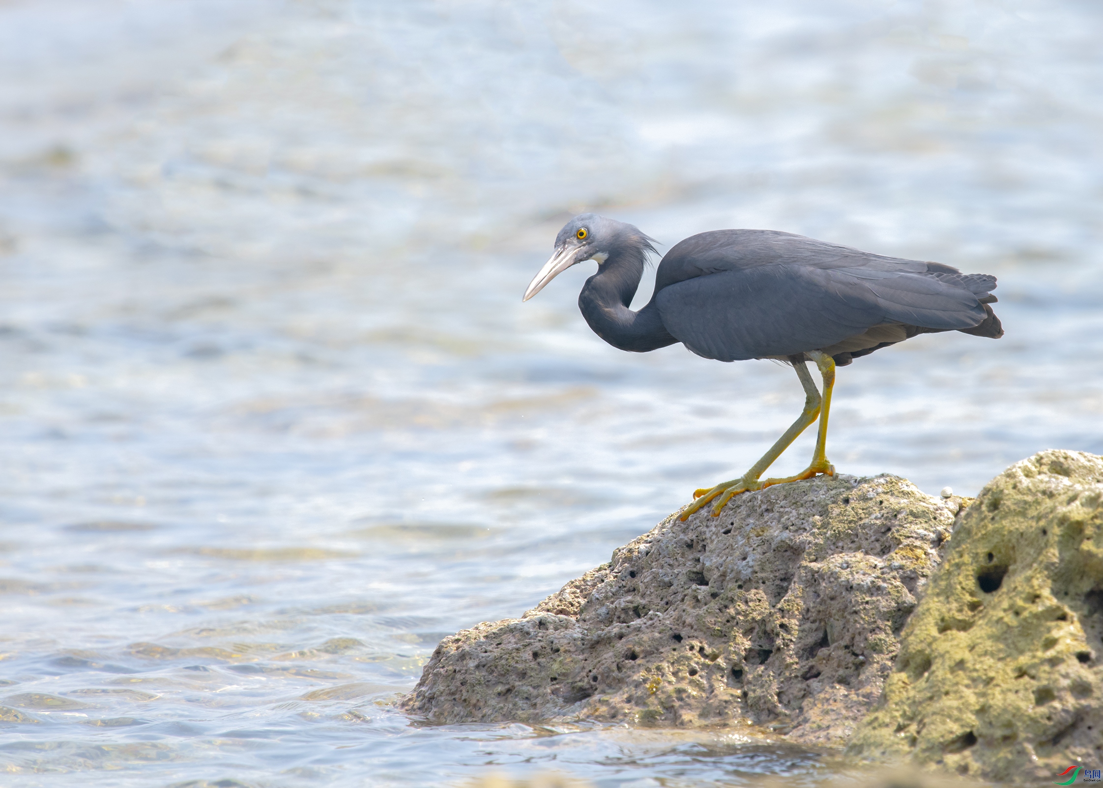 1777 ����.jpg