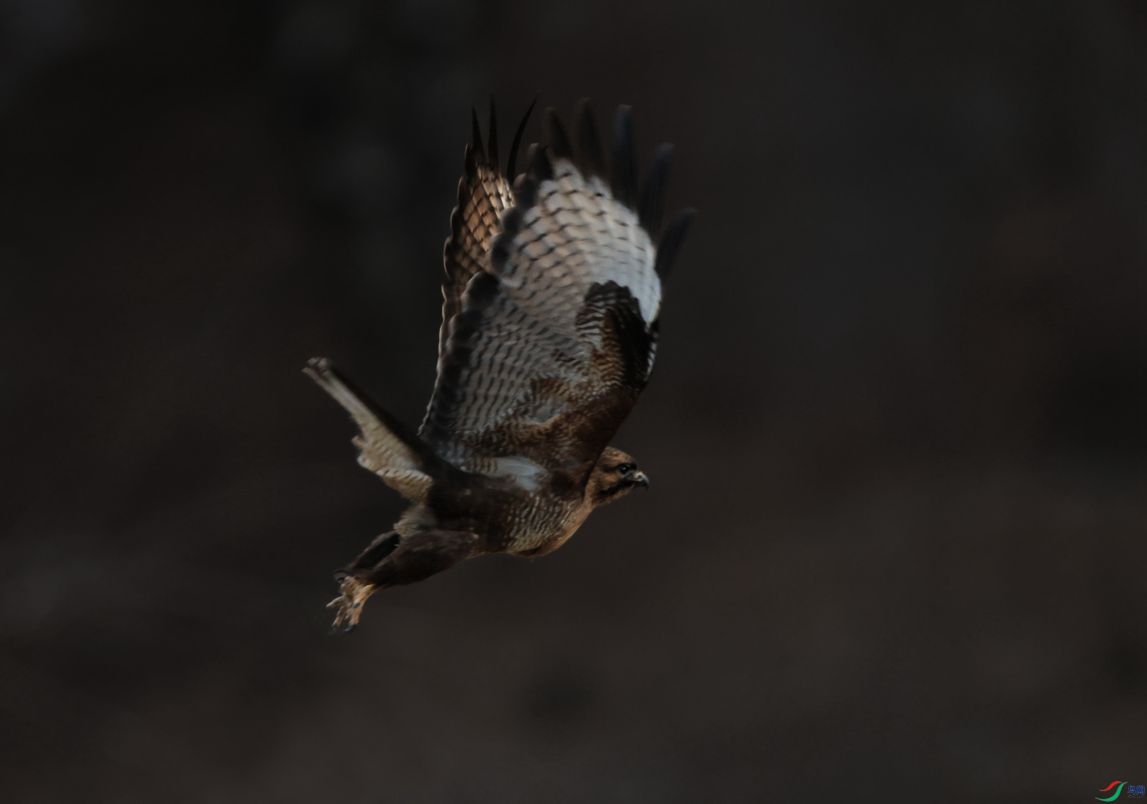 7X5A4015 - ����.JPG