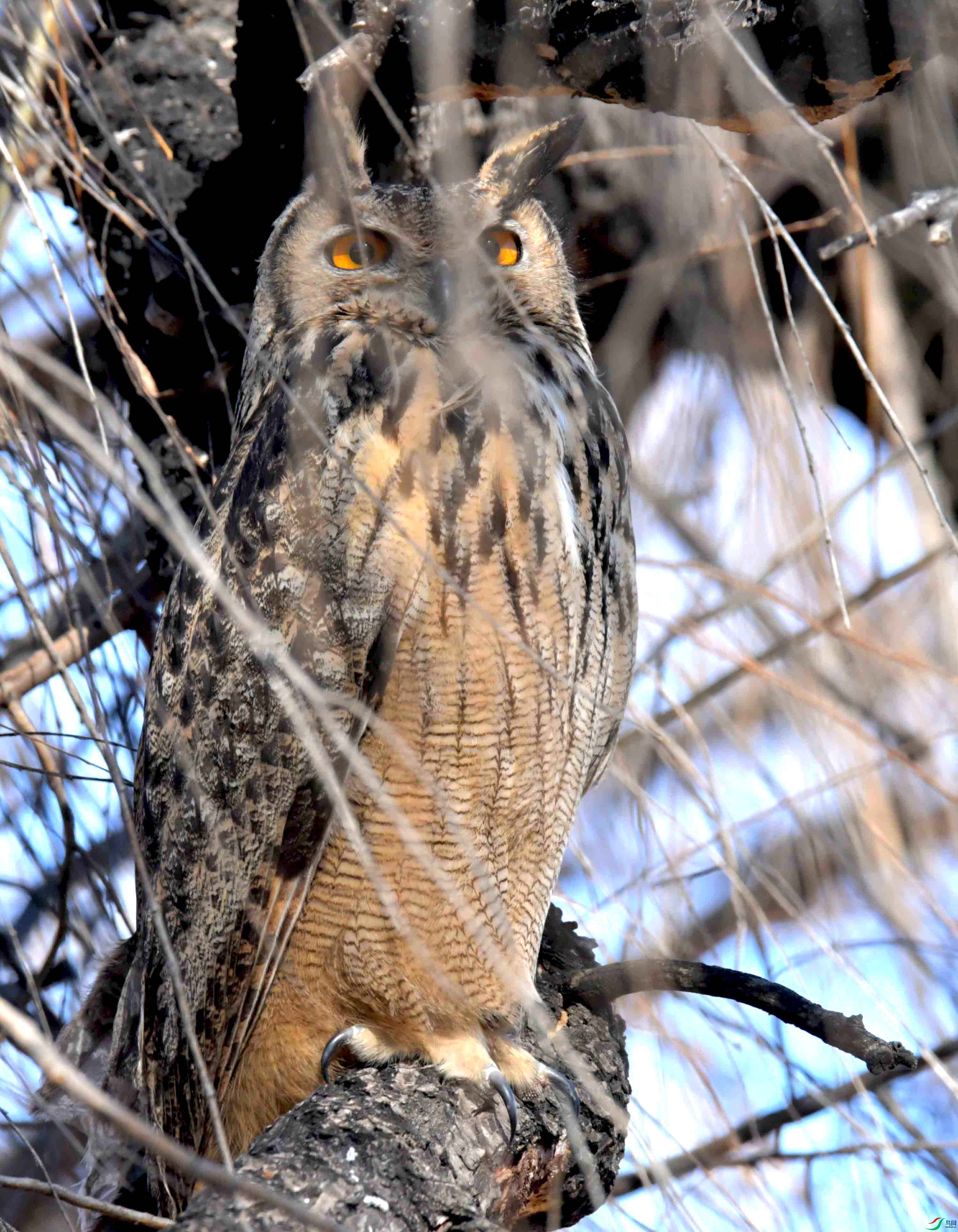 DSC_6206.JPG
