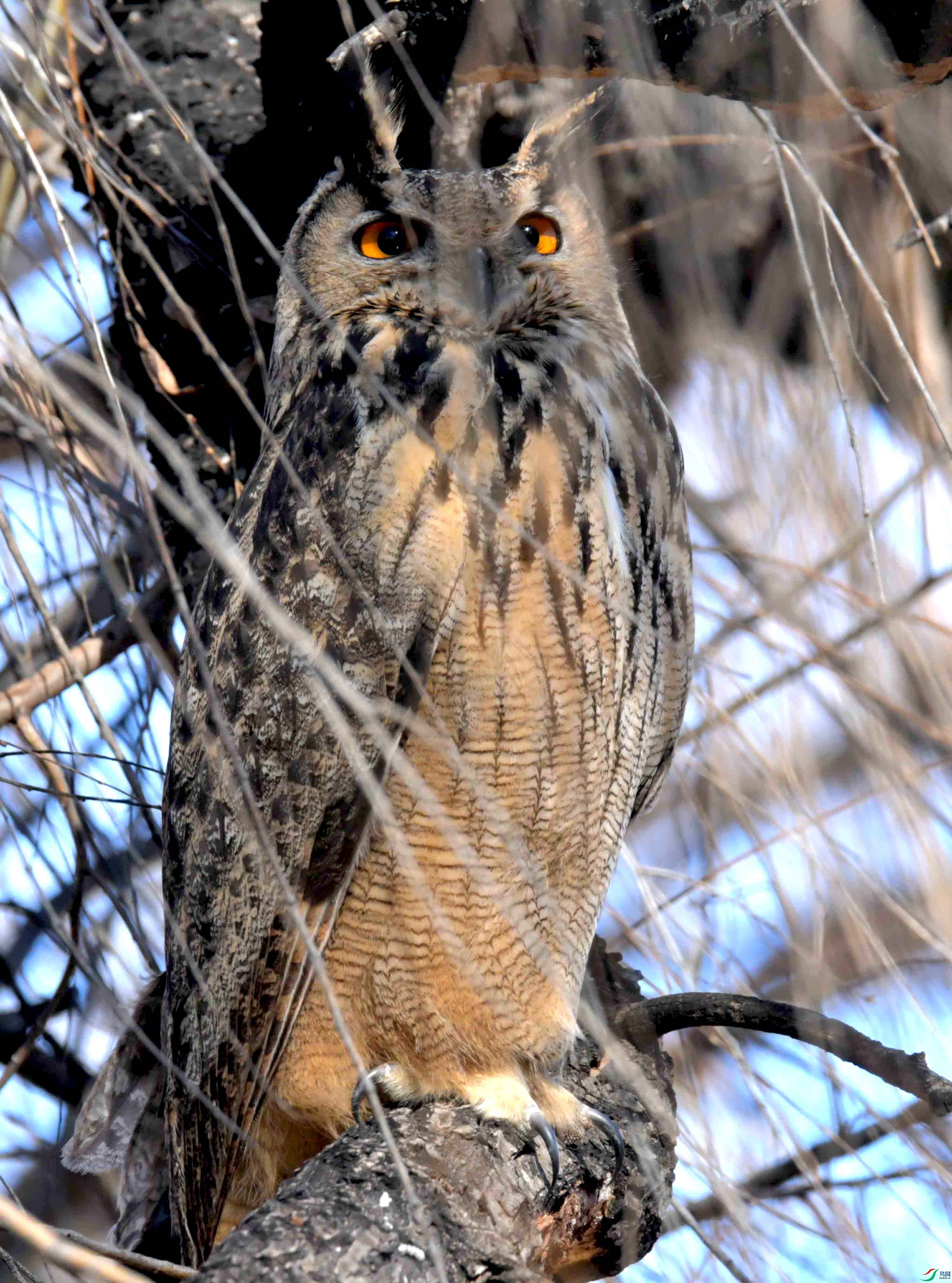 DSC_6204.JPG