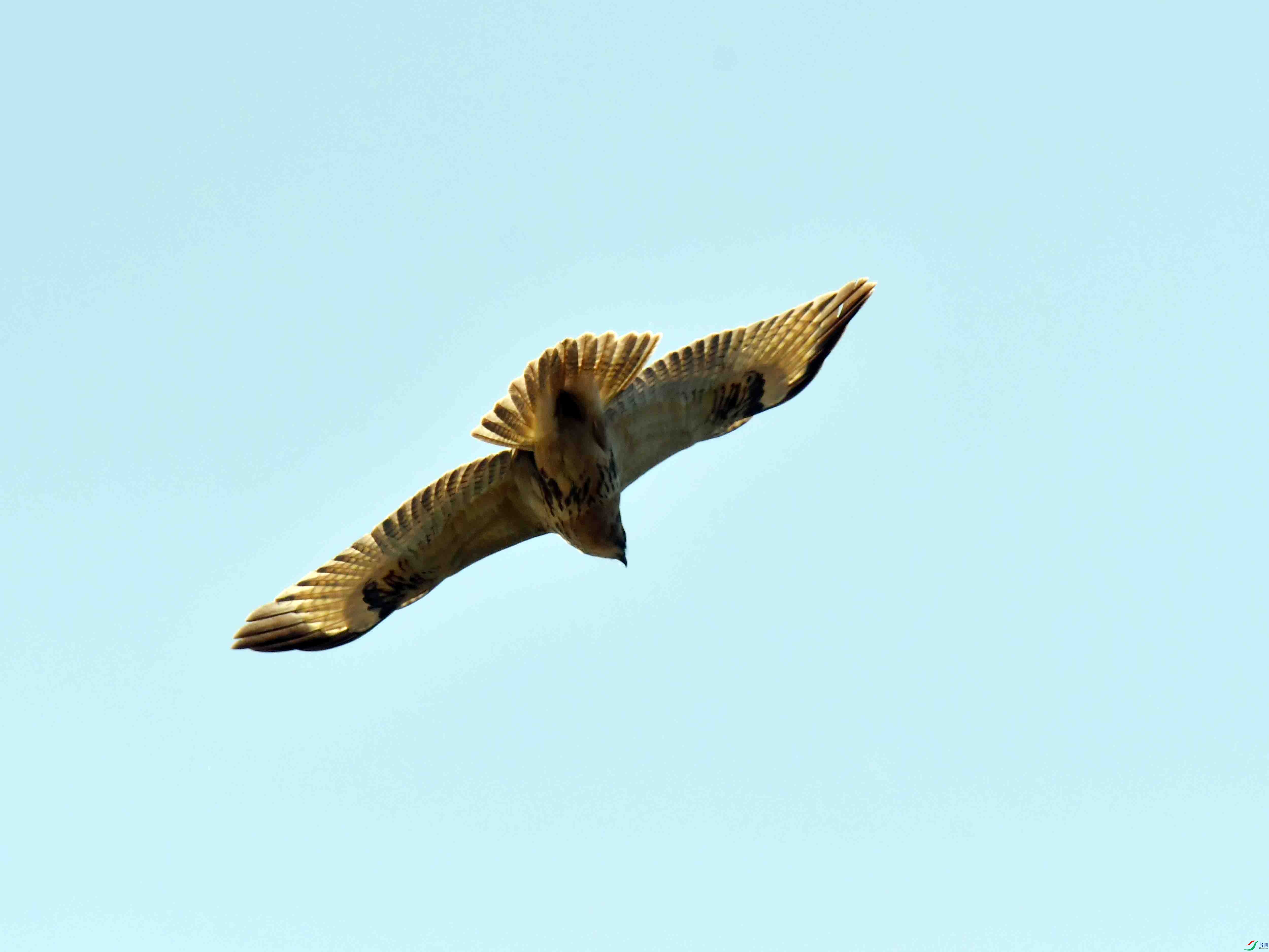 DSC_0076.JPG