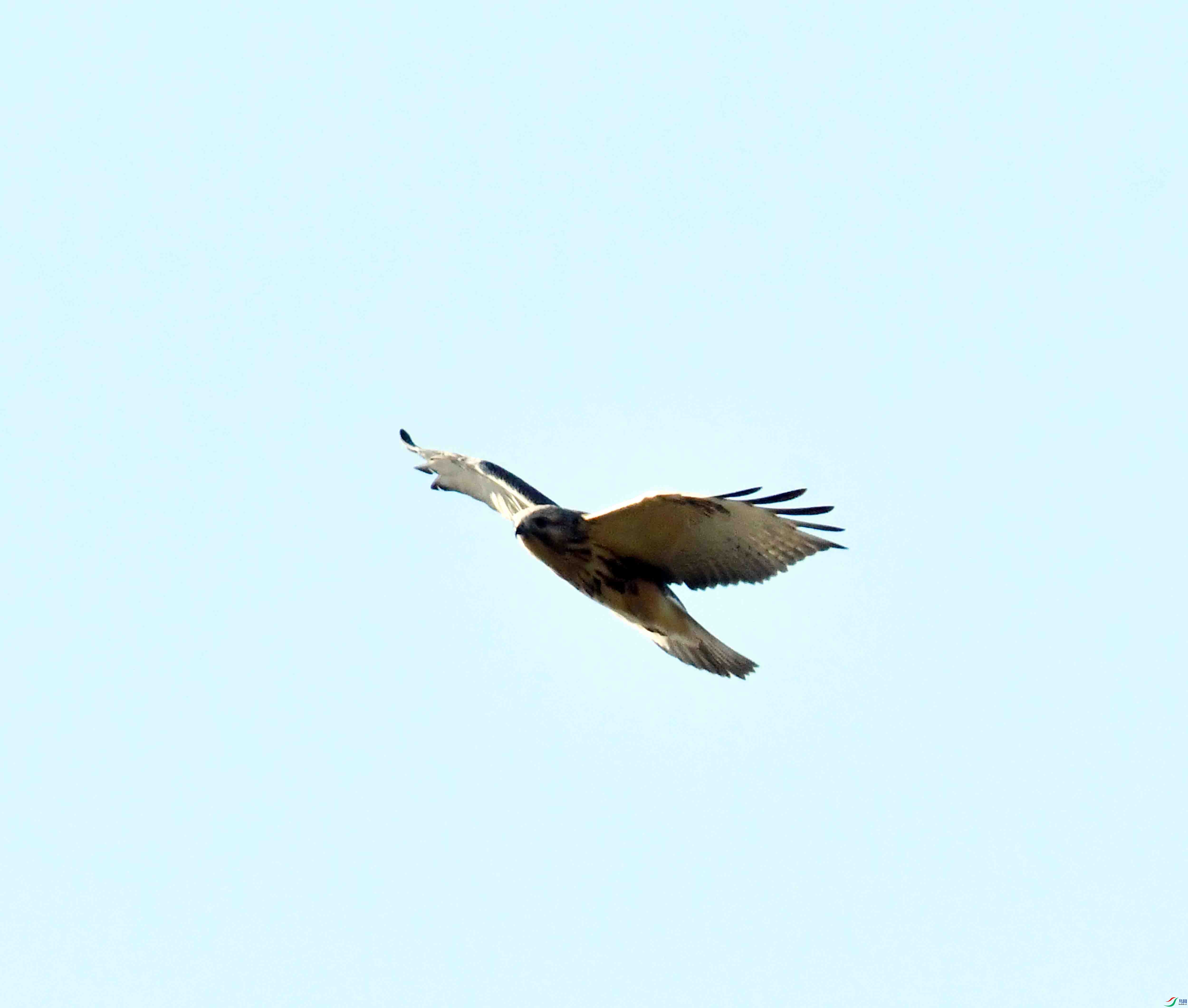 DSC_0081.JPG