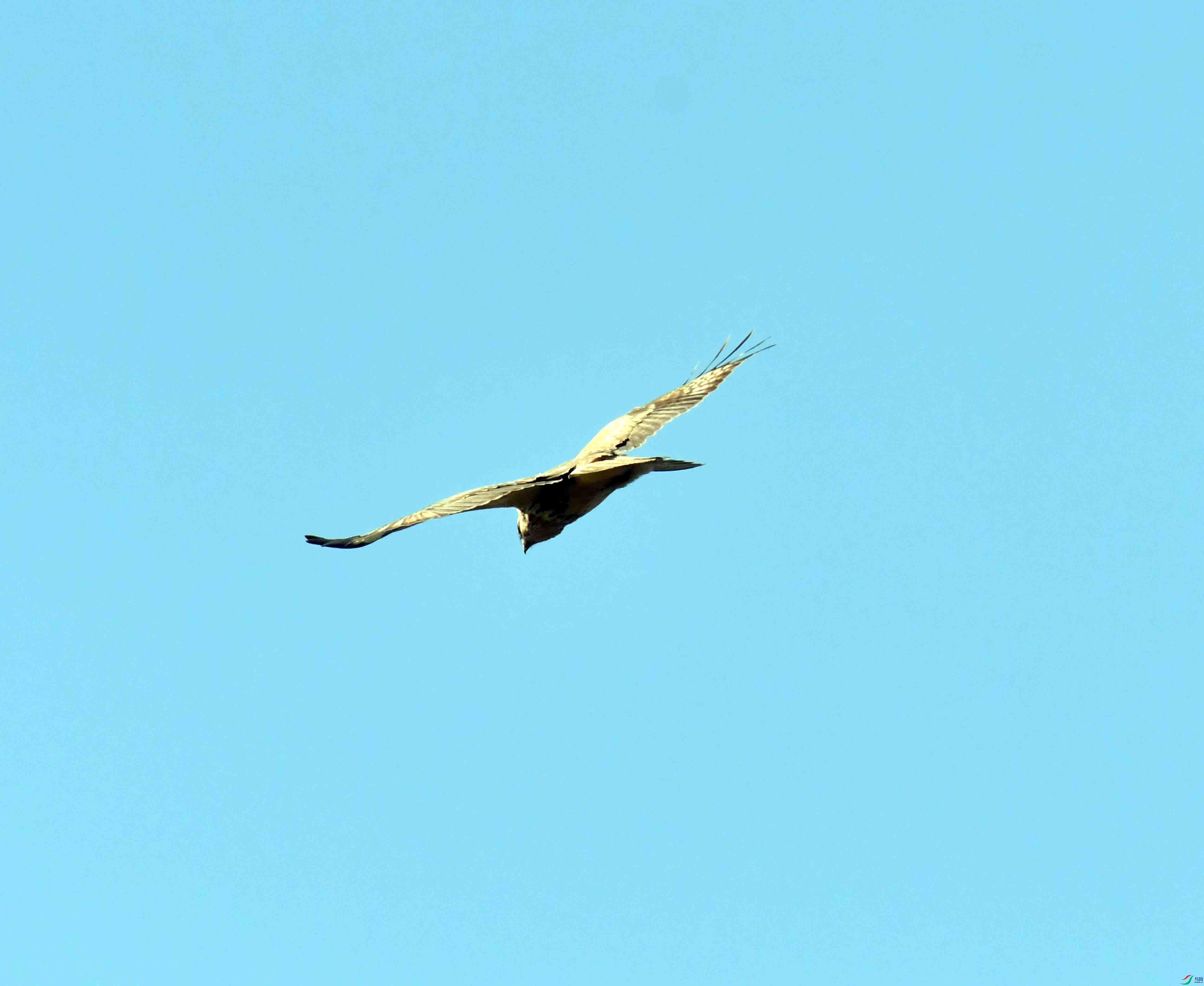 DSC_0079.JPG