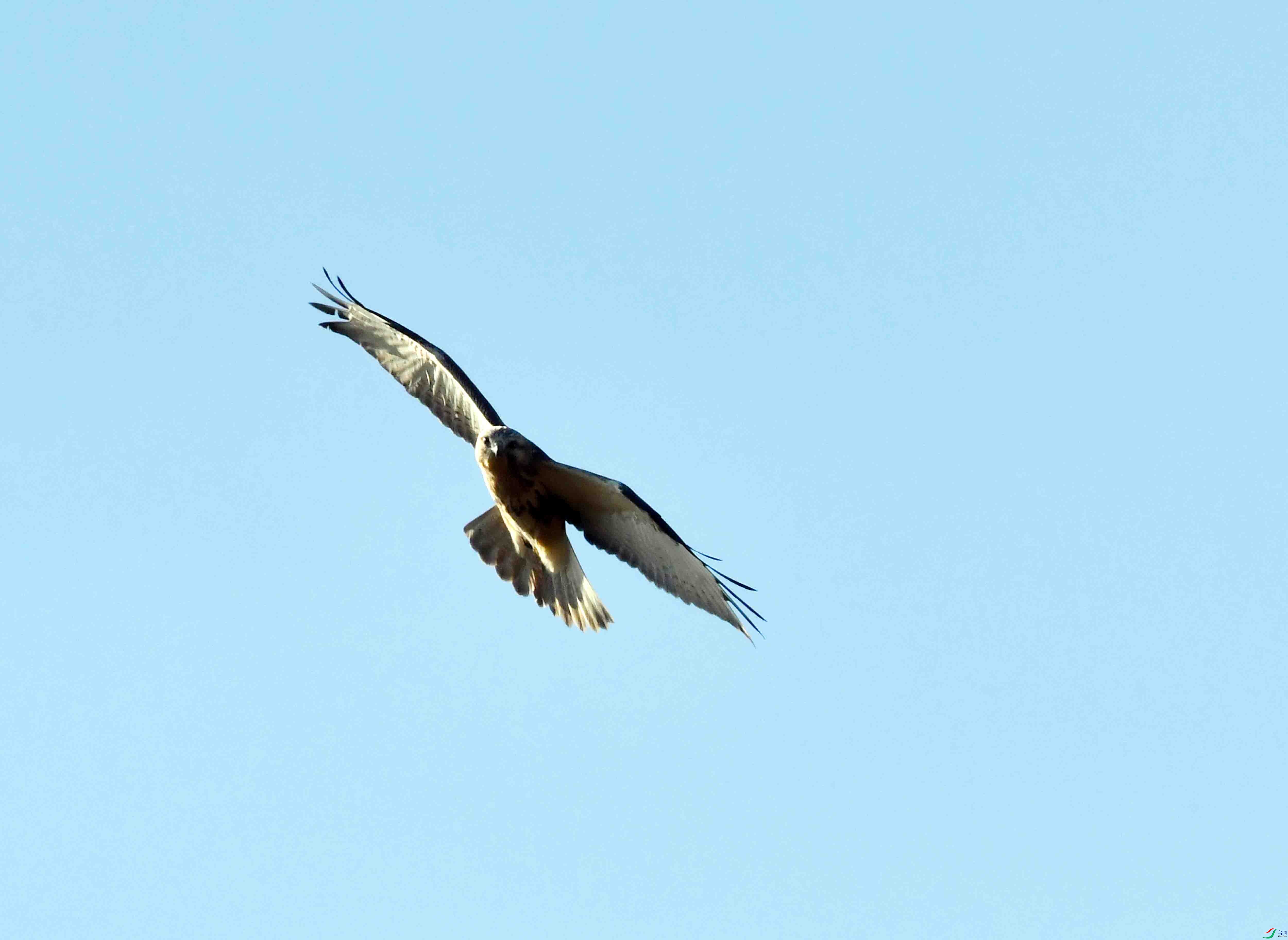 DSC_0082.JPG