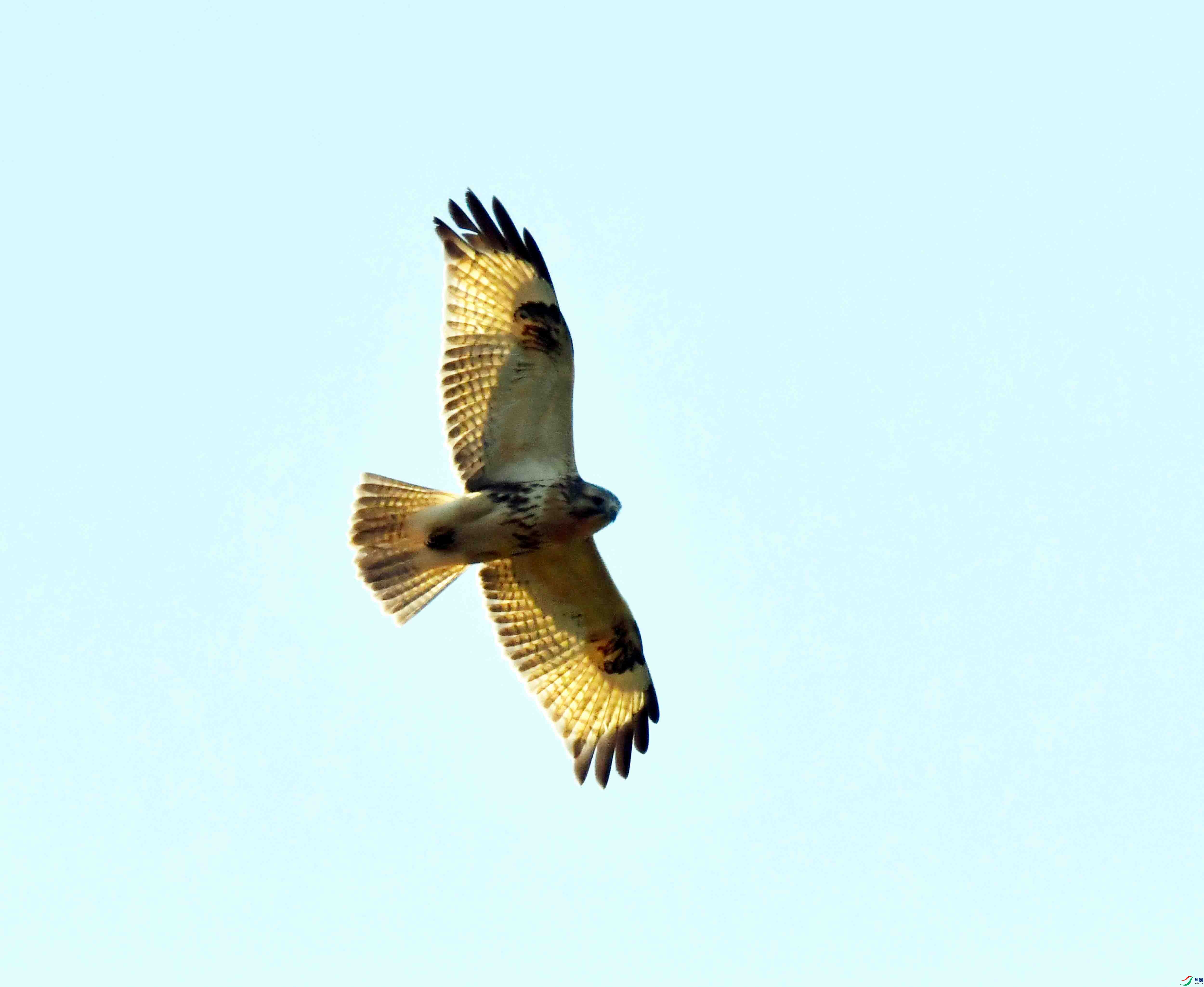 DSC_0084.JPG