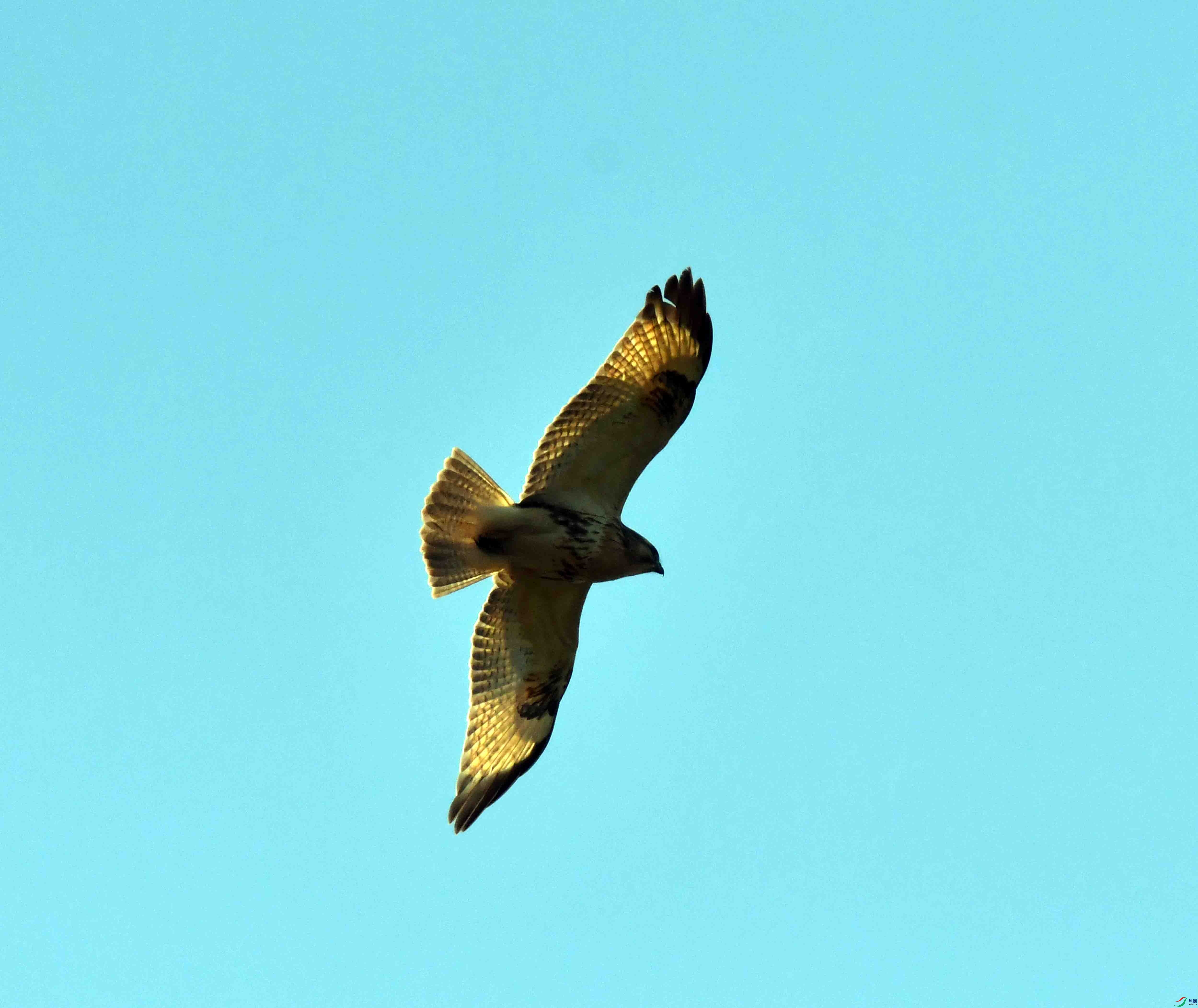 DSC_0086.JPG
