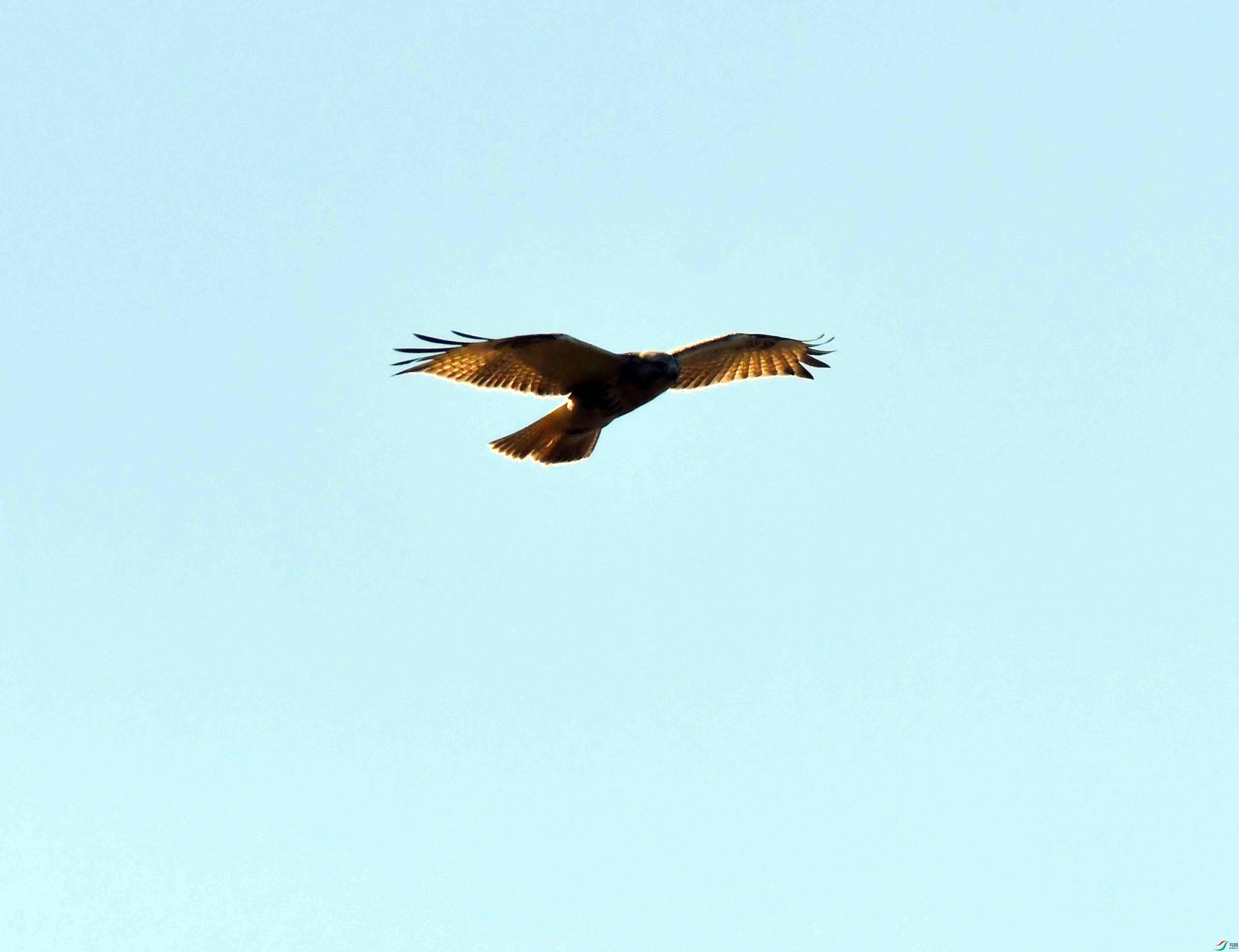 DSC_0092.JPG