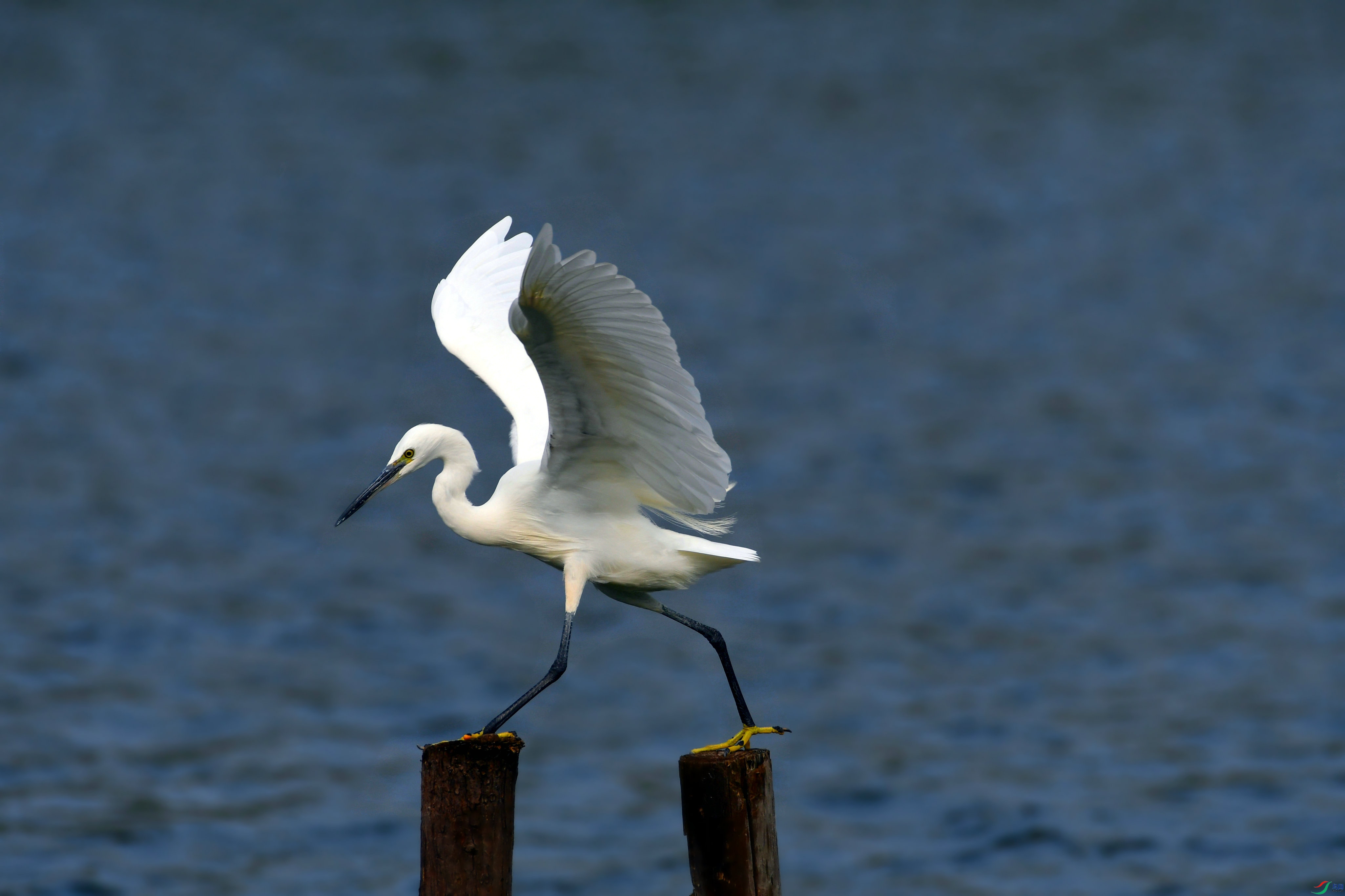 DSC_8796.JPG