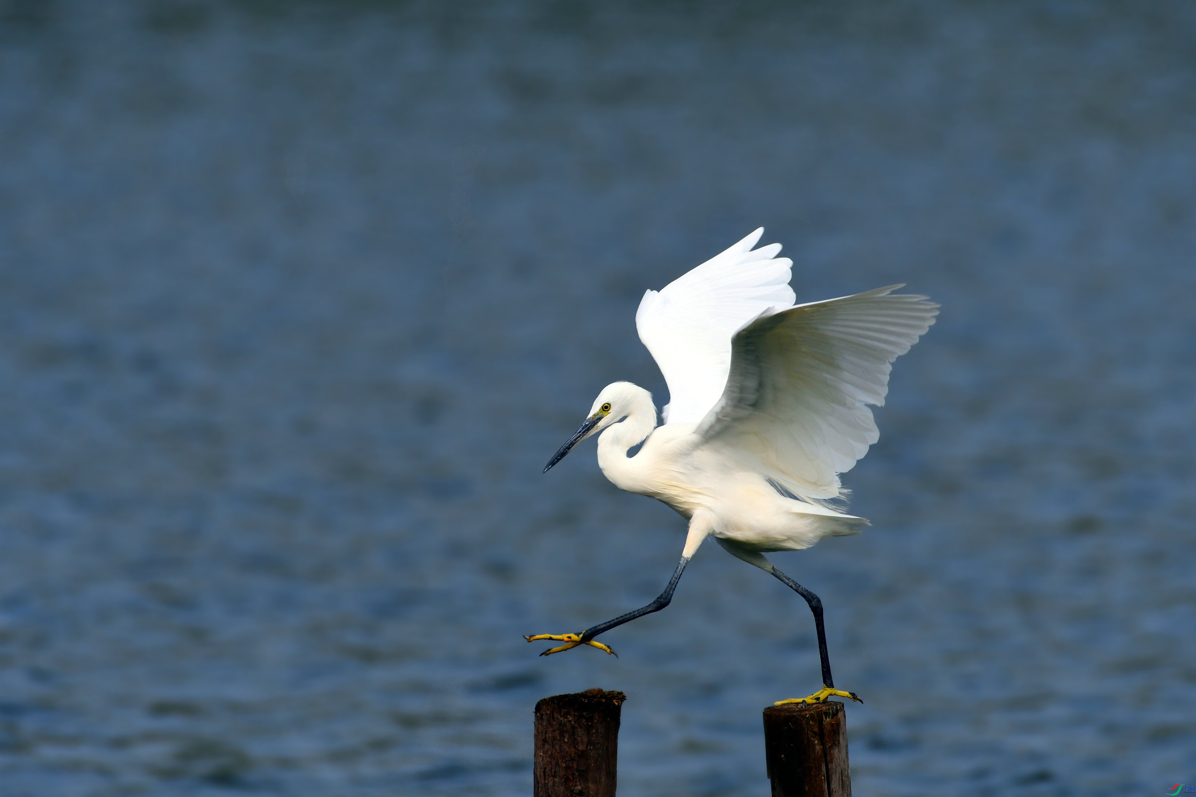 DSC_8795.JPG