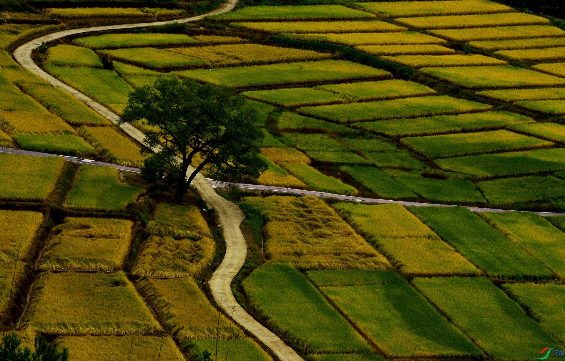 D8I_0126.jpg
