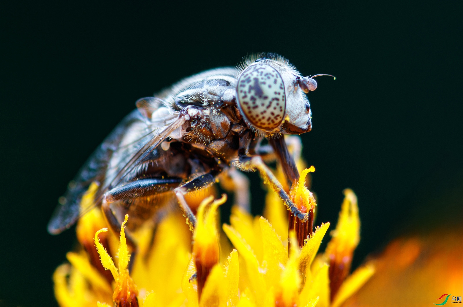 5438jpg ����jpg.jpg