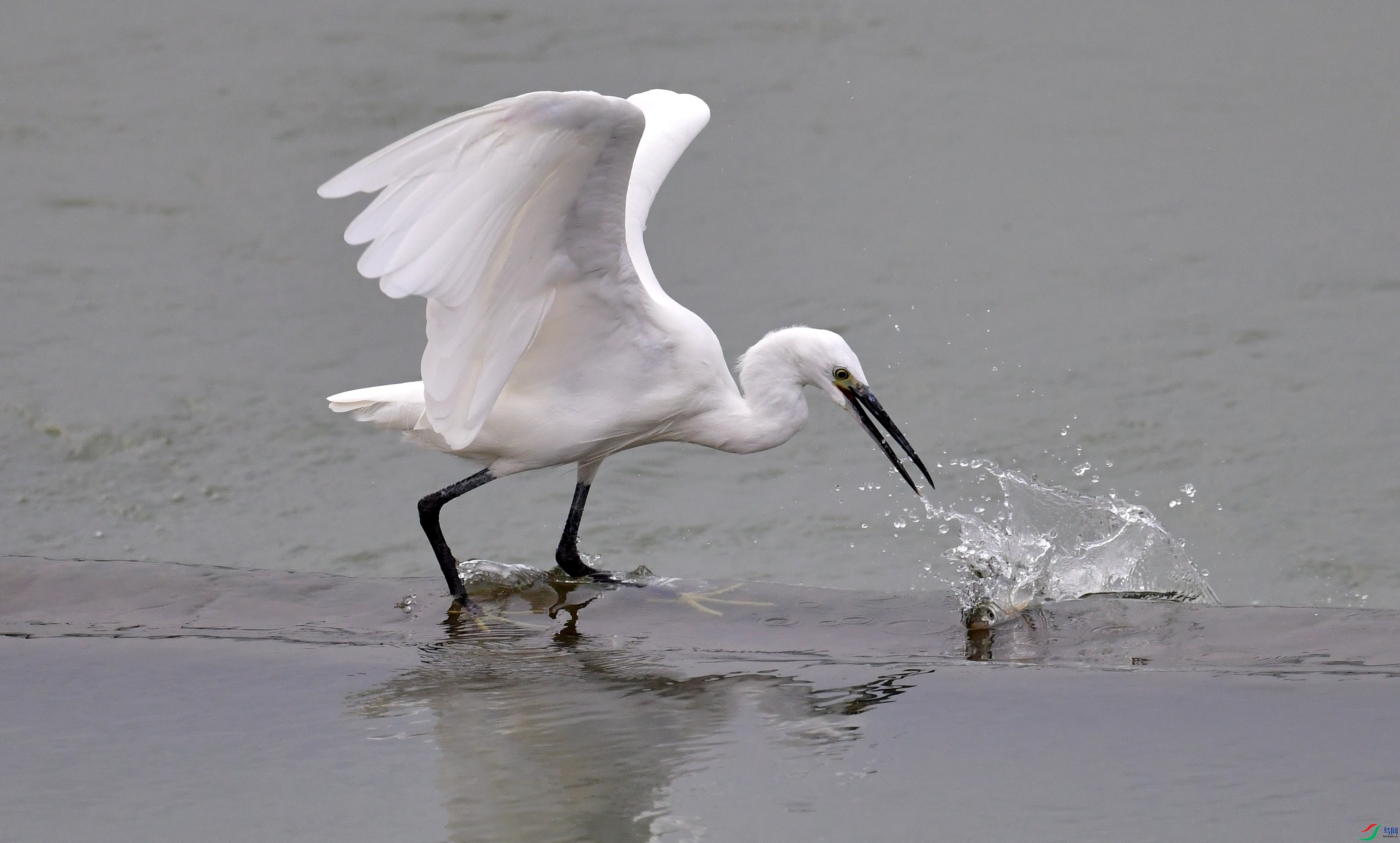 DSC_1176_conew4.jpg