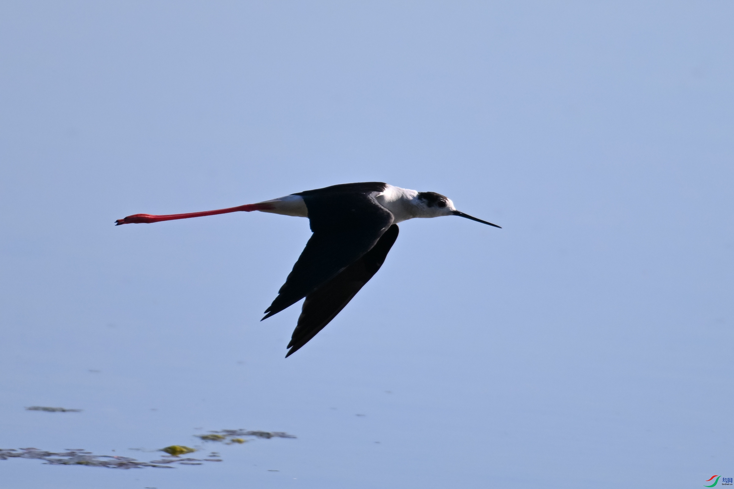 DSC_1717.JPG